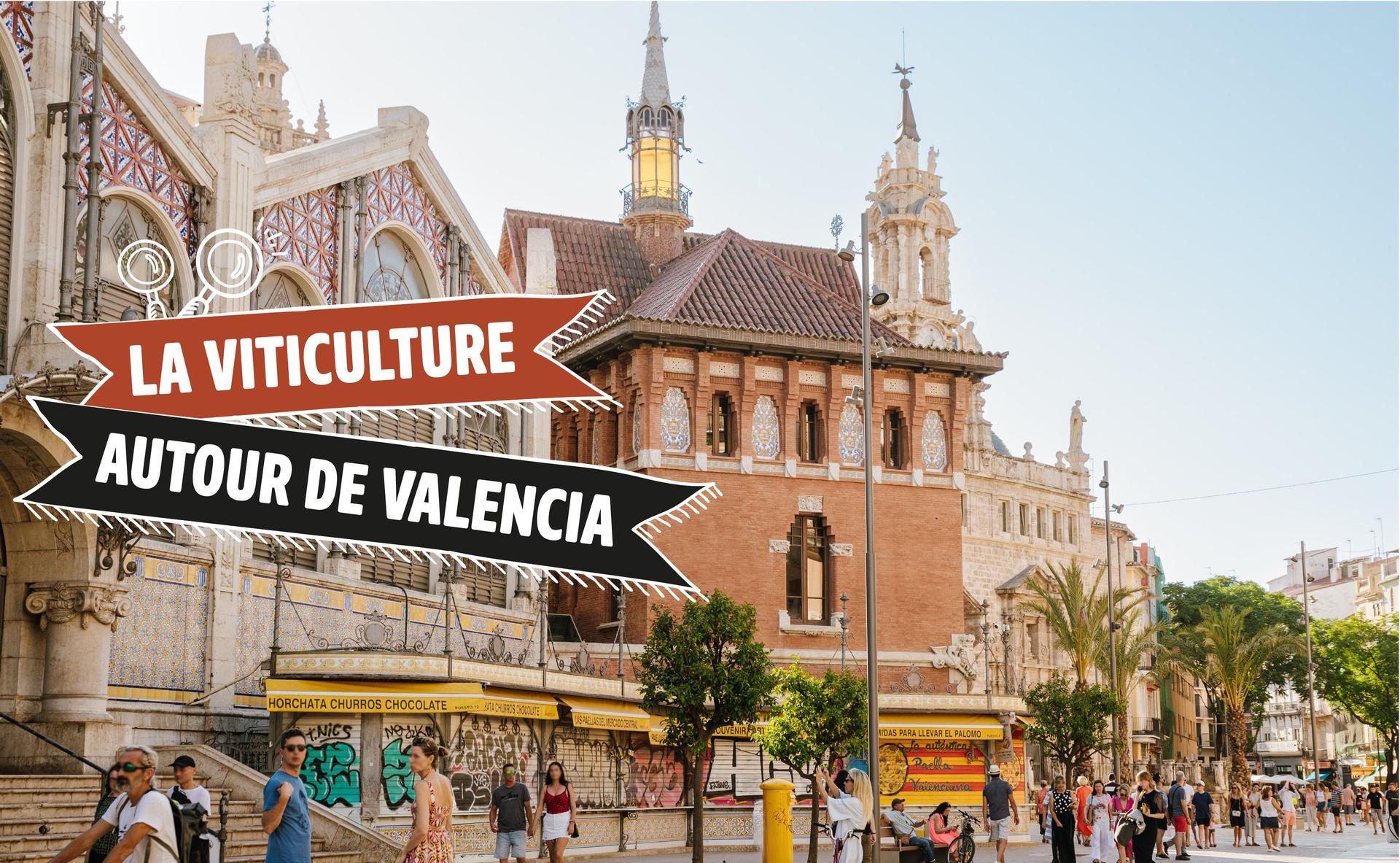 La viticulture autour de Valencia