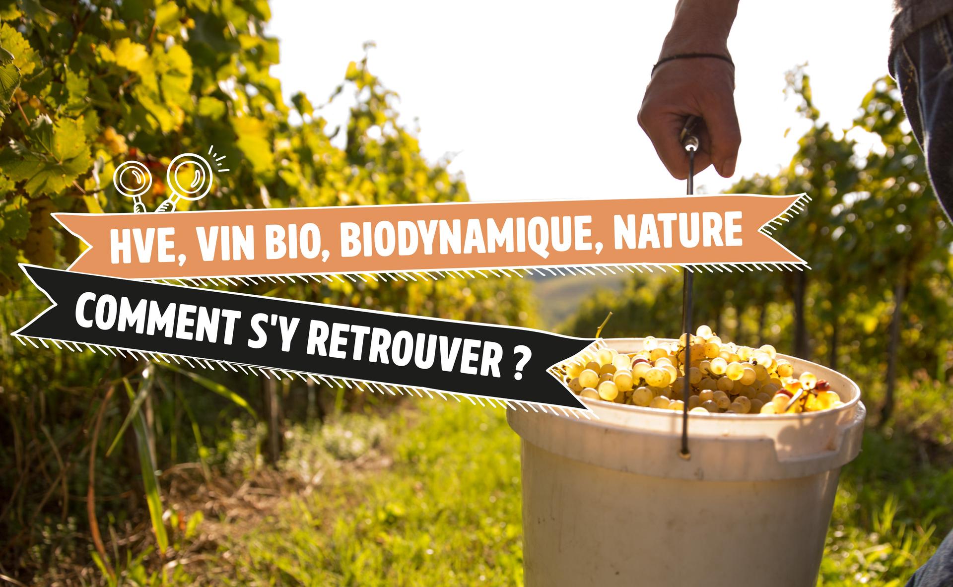 Haute Valeur Environnementale, vin bio, biodynamique, nature, comment s'y retrouver ?