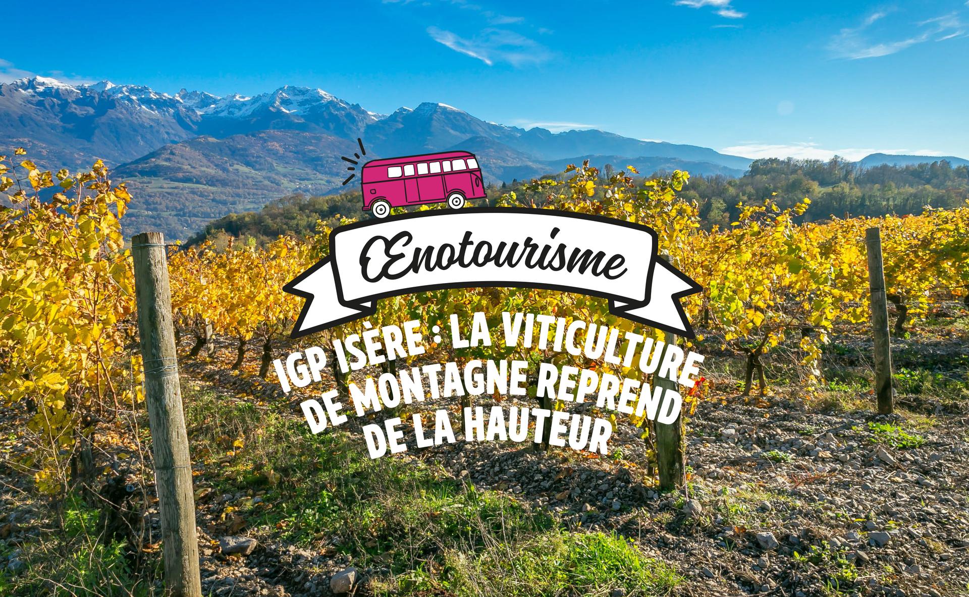 IGP Isère : la viticulture de montagne reprend de la hauteur
