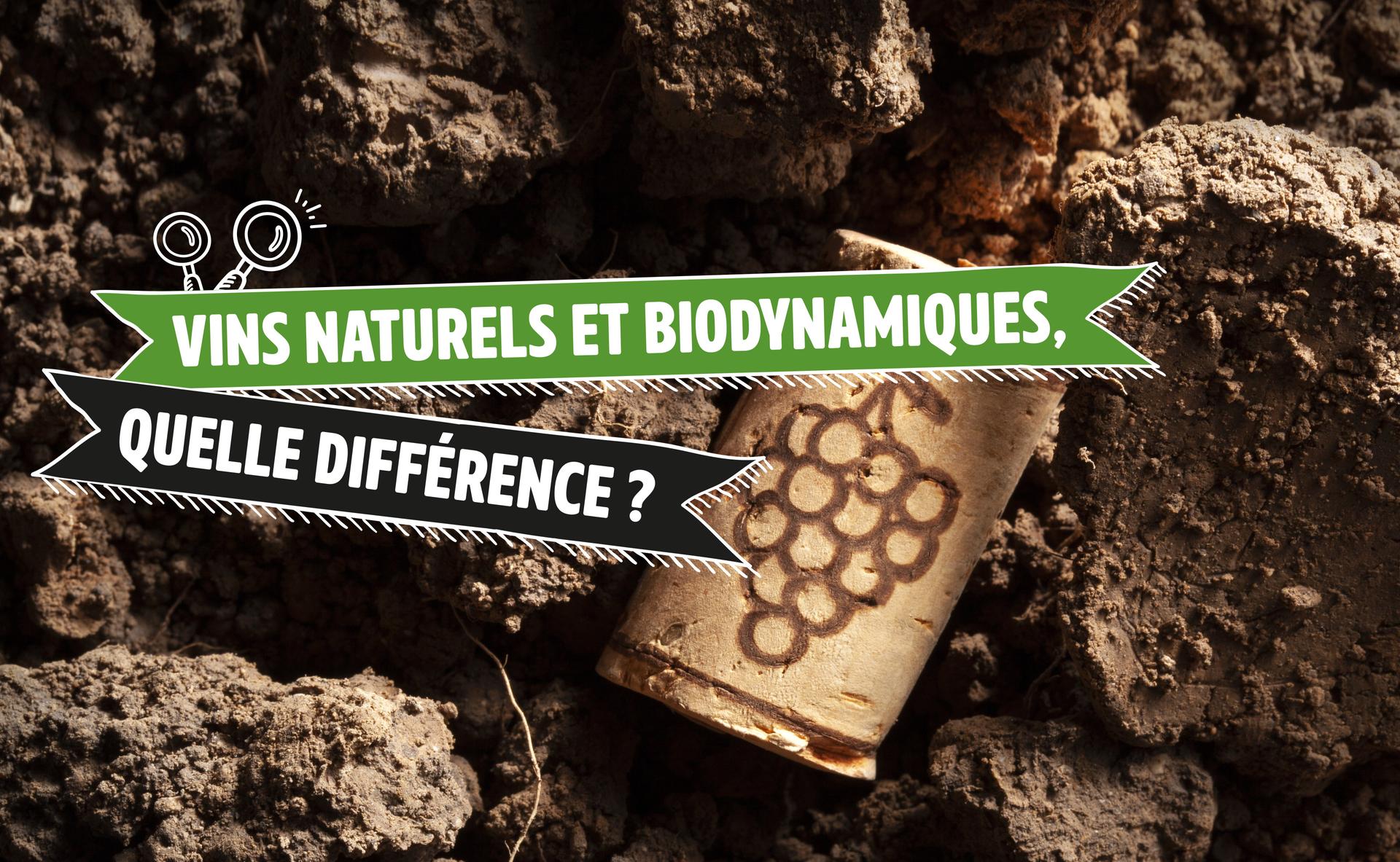 Vins naturels et biodynamiques, quelle différence ?