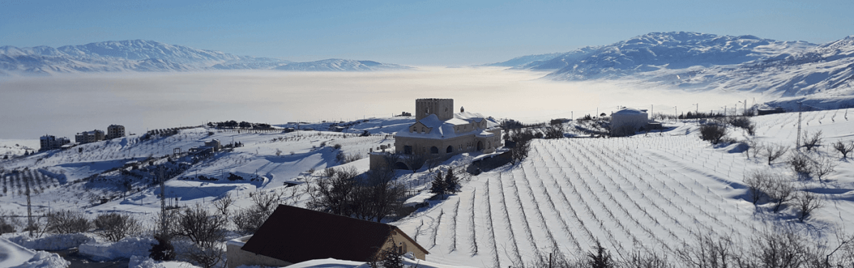 Vignoble du Château Khoury en hiver - Crédit photo Château Khoury