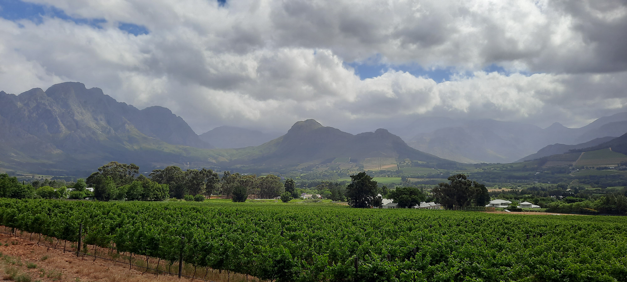 Les winelands autour de Stellenbosch et de Franschhoek, une réserve de pépites œnotouristiques