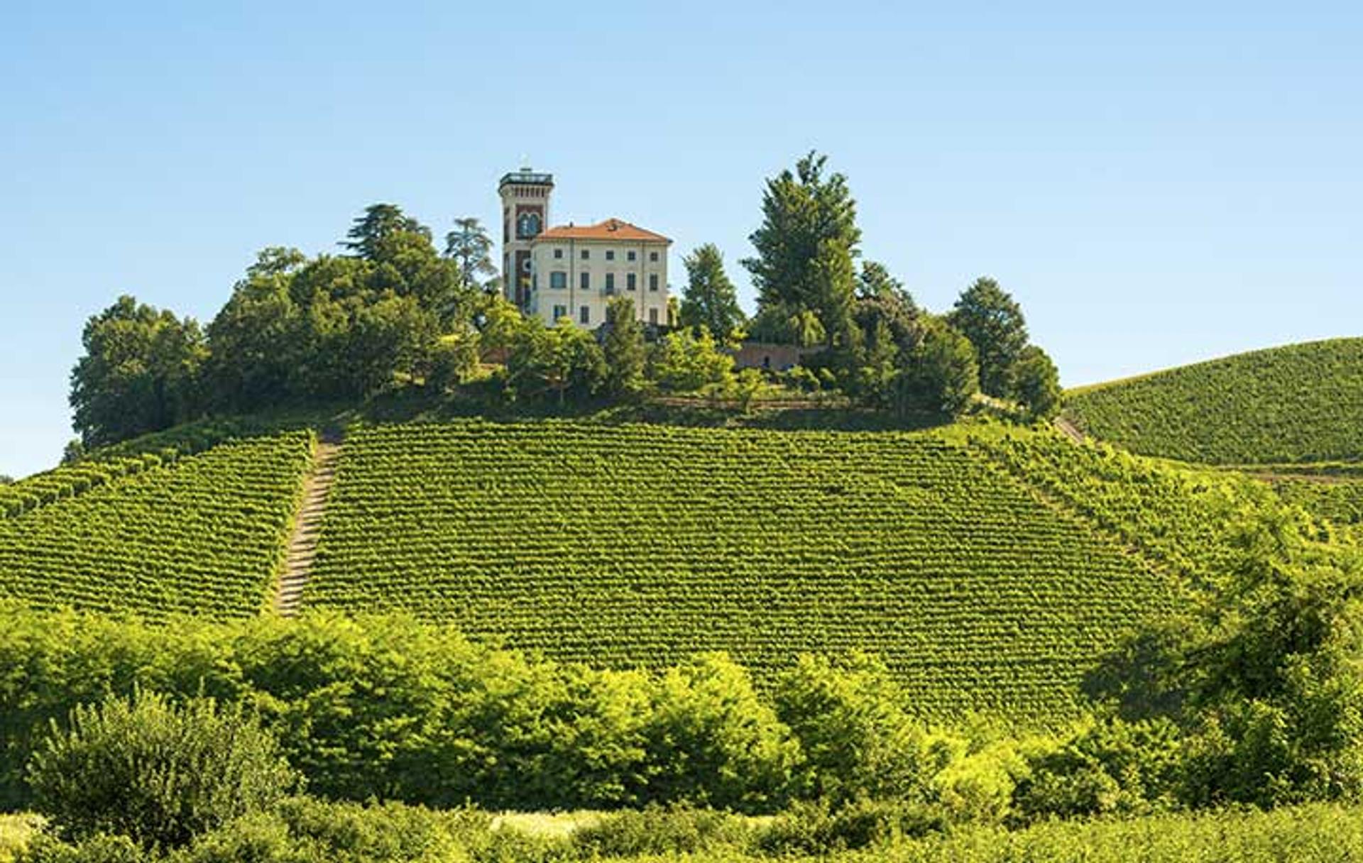 Vinho Verde, Barolo, Rioja... Tous les vins à découvrir pendant vos vacances