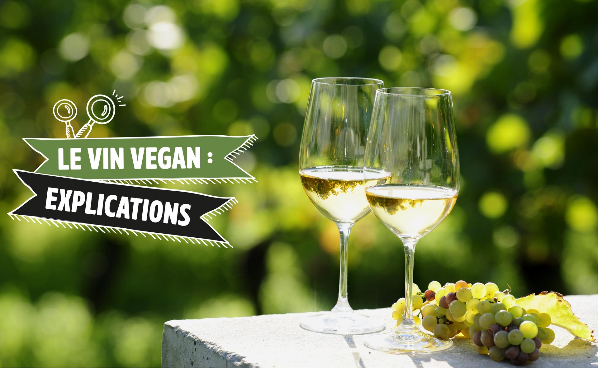 Le vin vegan : explications