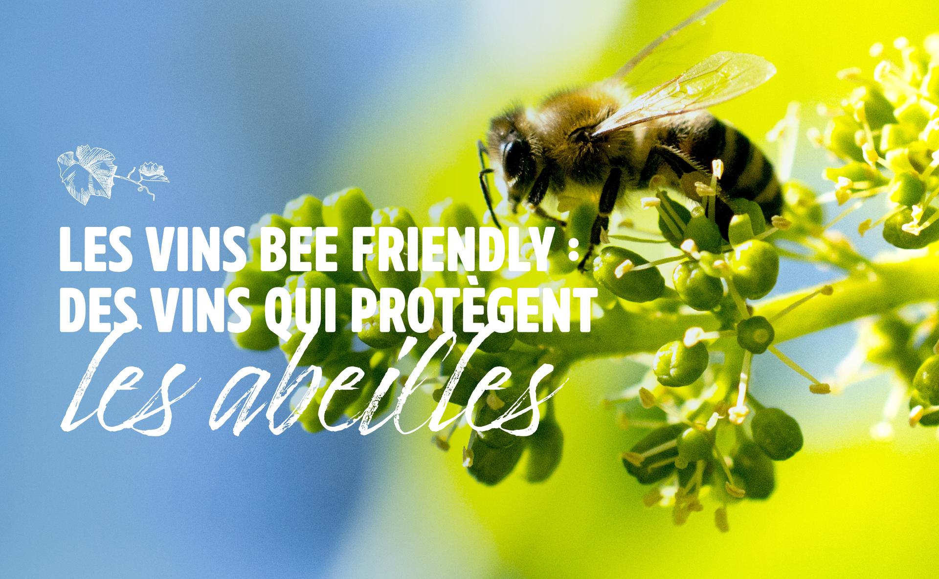 Les vins Bee Friendly : des vins qui protègent les abeilles
