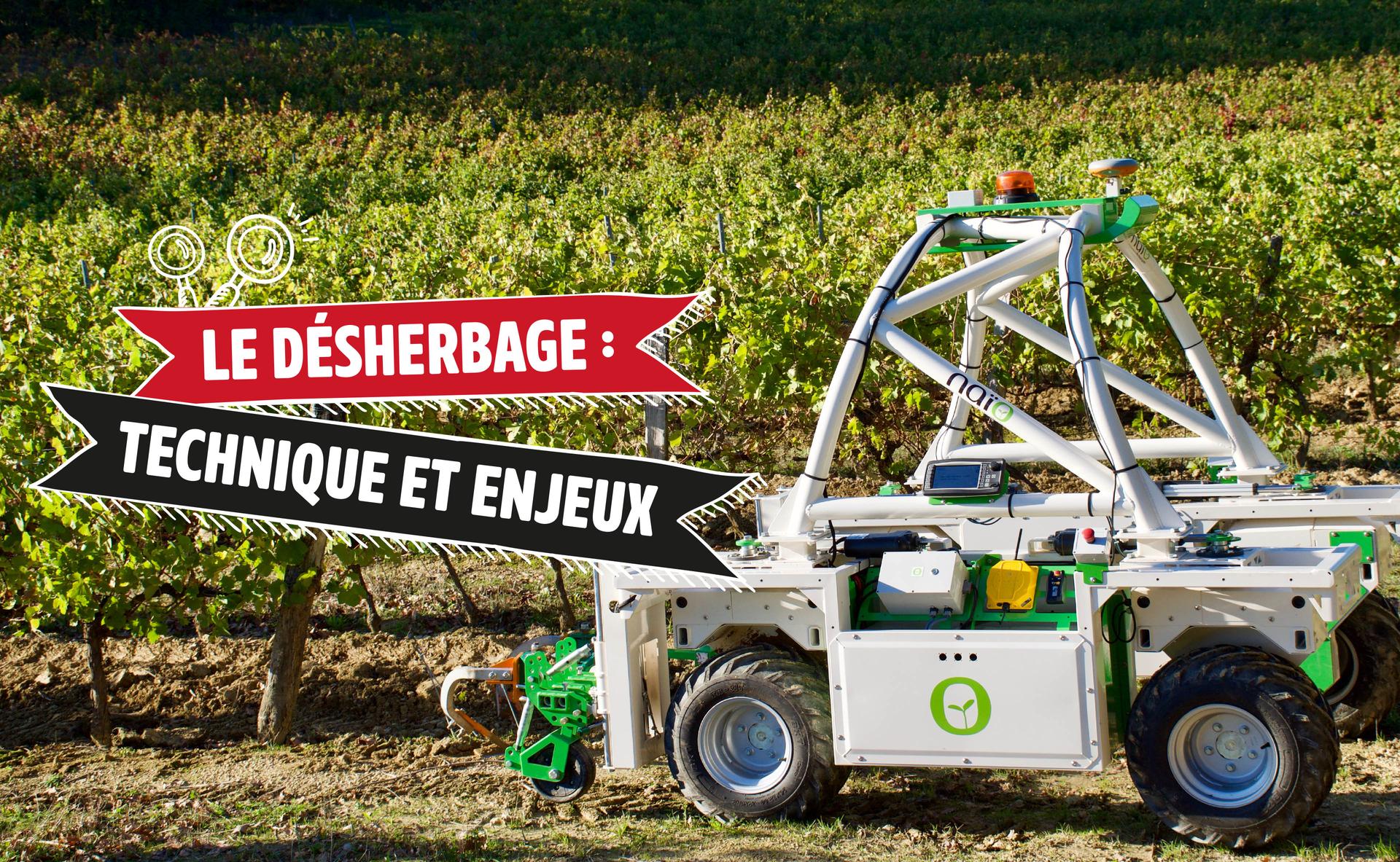 Le désherbage : techniques et enjeux en viticulture 