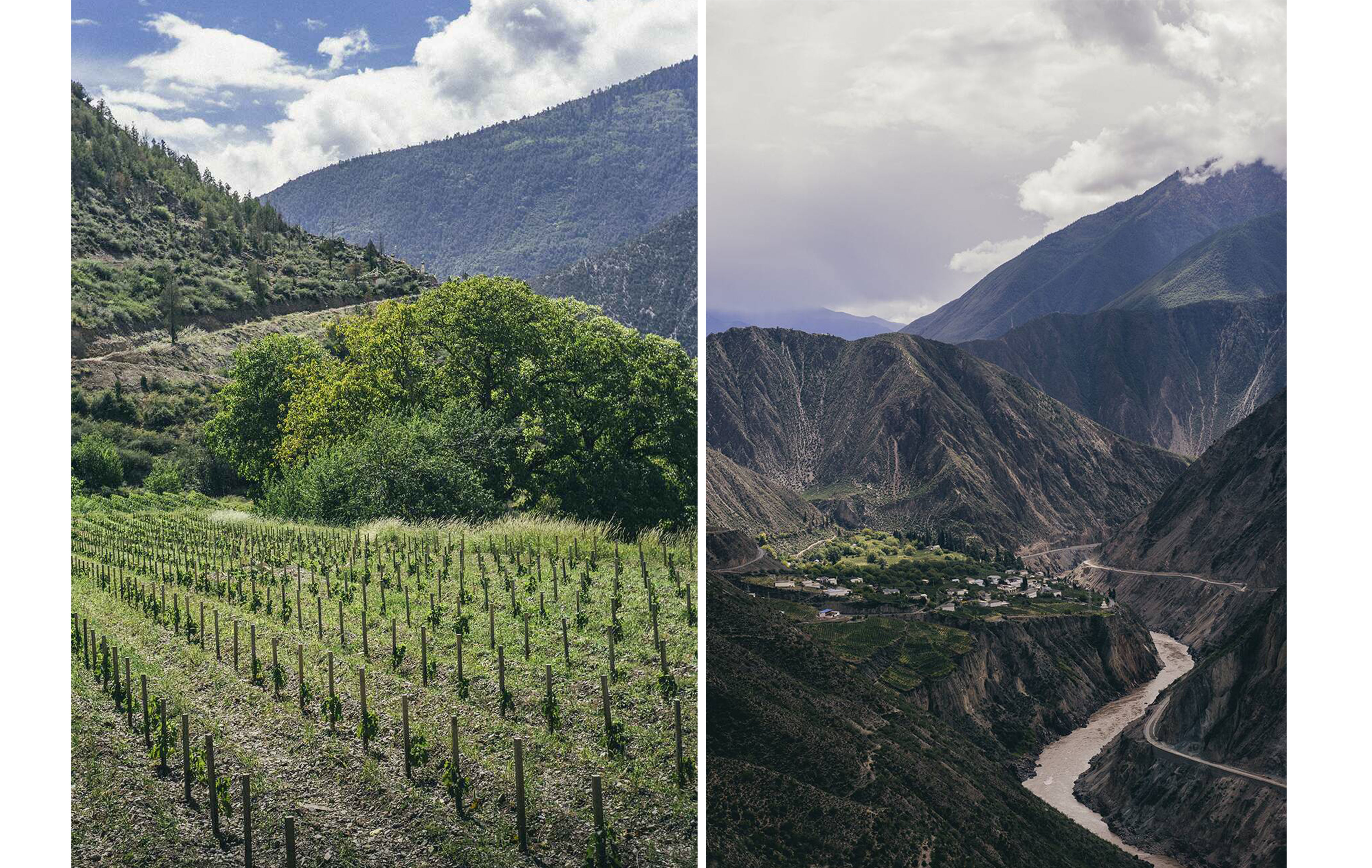 A gauche : Villages et plateaux en Himalaya | A droite : Adong, le plus haut vignoble d’Ao Yun situé à 2600 mètres d’altitude - Crédit photos : LVMH / J.Penninck
