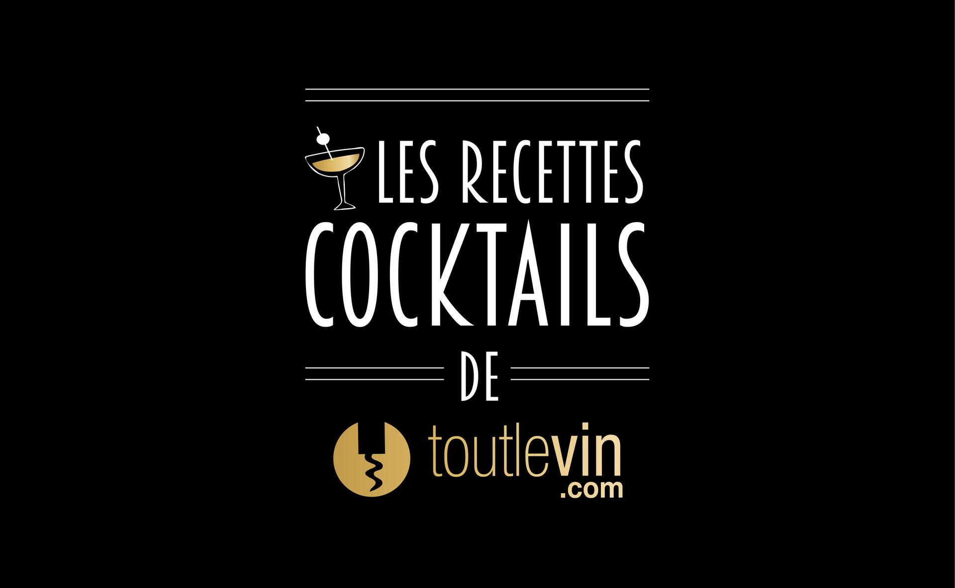 Devenez barman en réalisant vos cocktails maison !