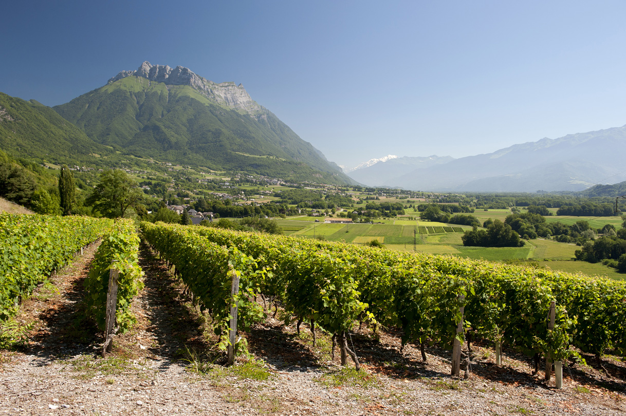 Combe de Savoie - Crédit photo : Interprofession des Vins de Savoie