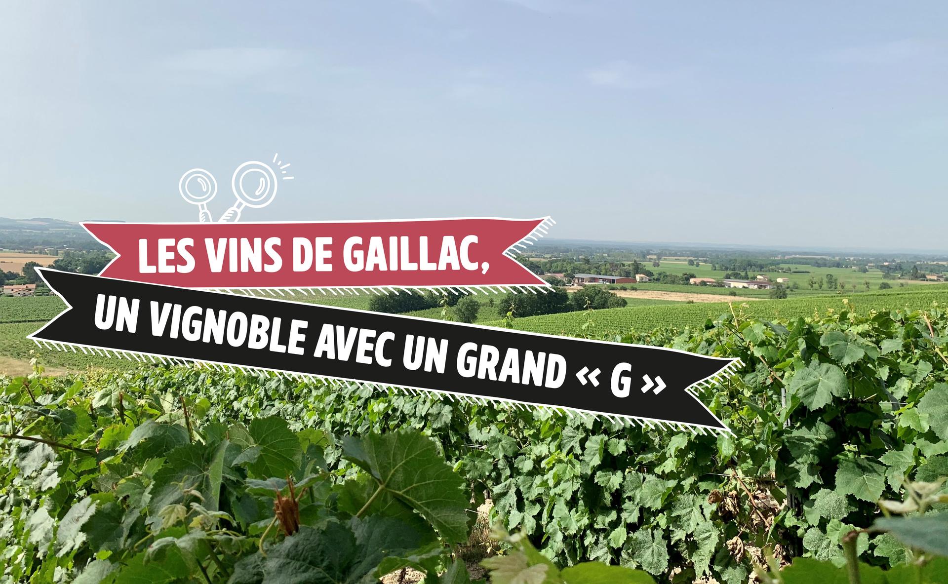 Les vins de Gaillac, un vignoble avec un grand « G »