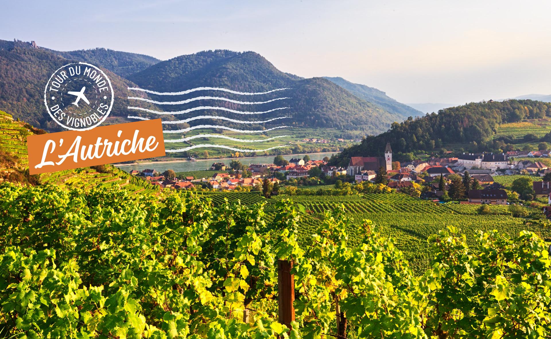 Tour du monde des vignobles : l’Autriche