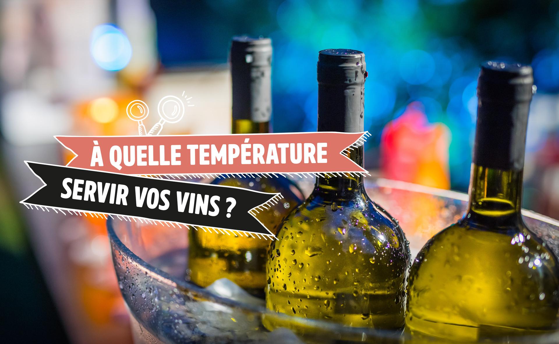 Infographie : Quelle température de service pour chaque vin ?