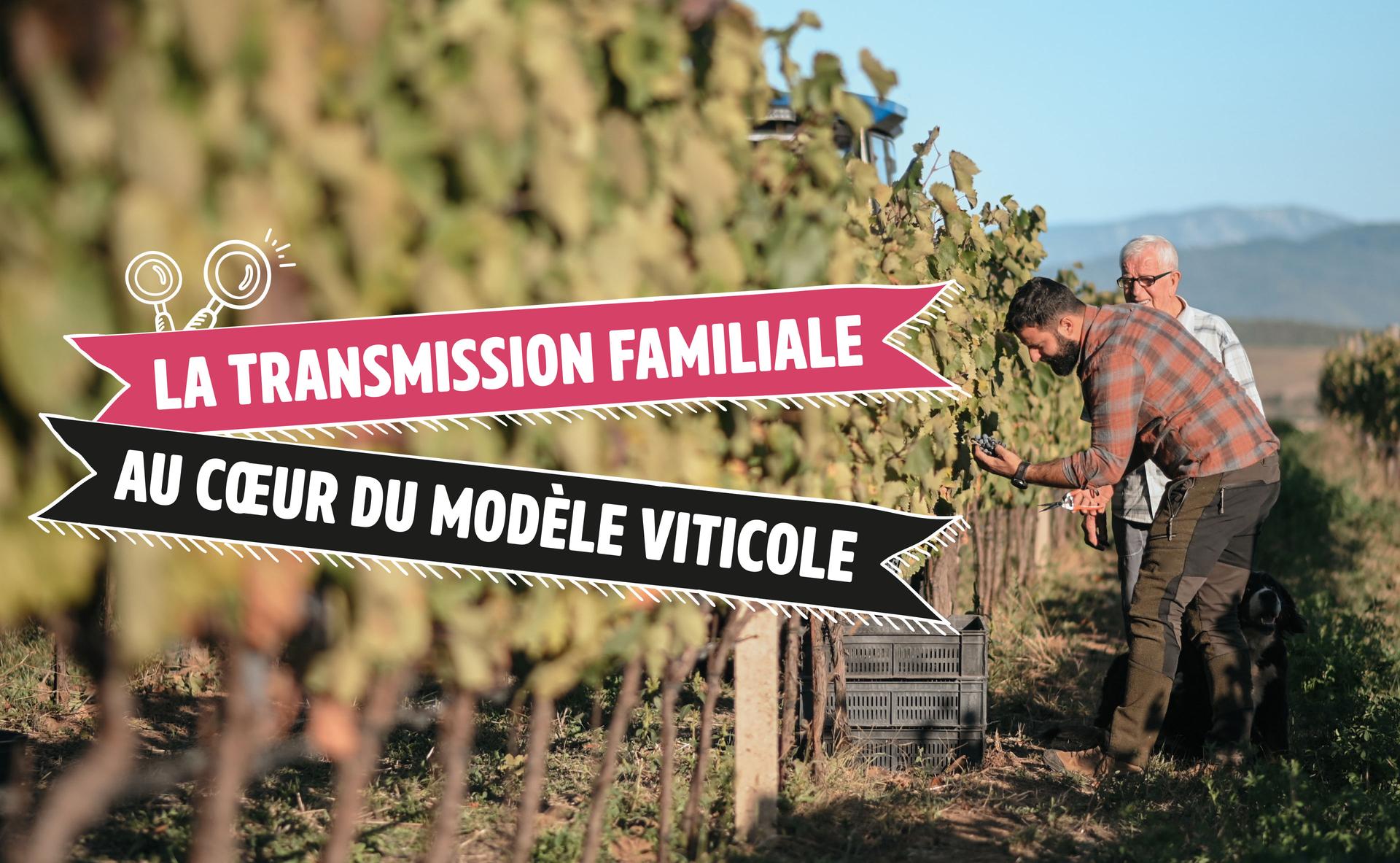 La transmission familiale au cœur du modèle viticole