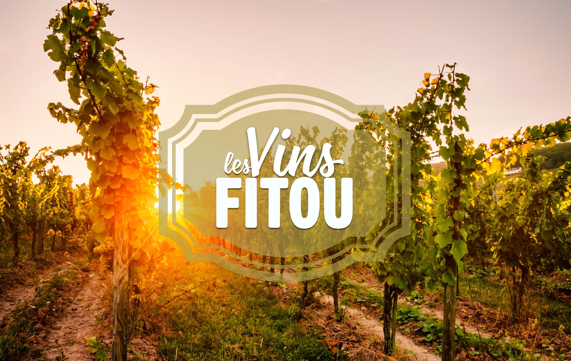 Les vins Fitou