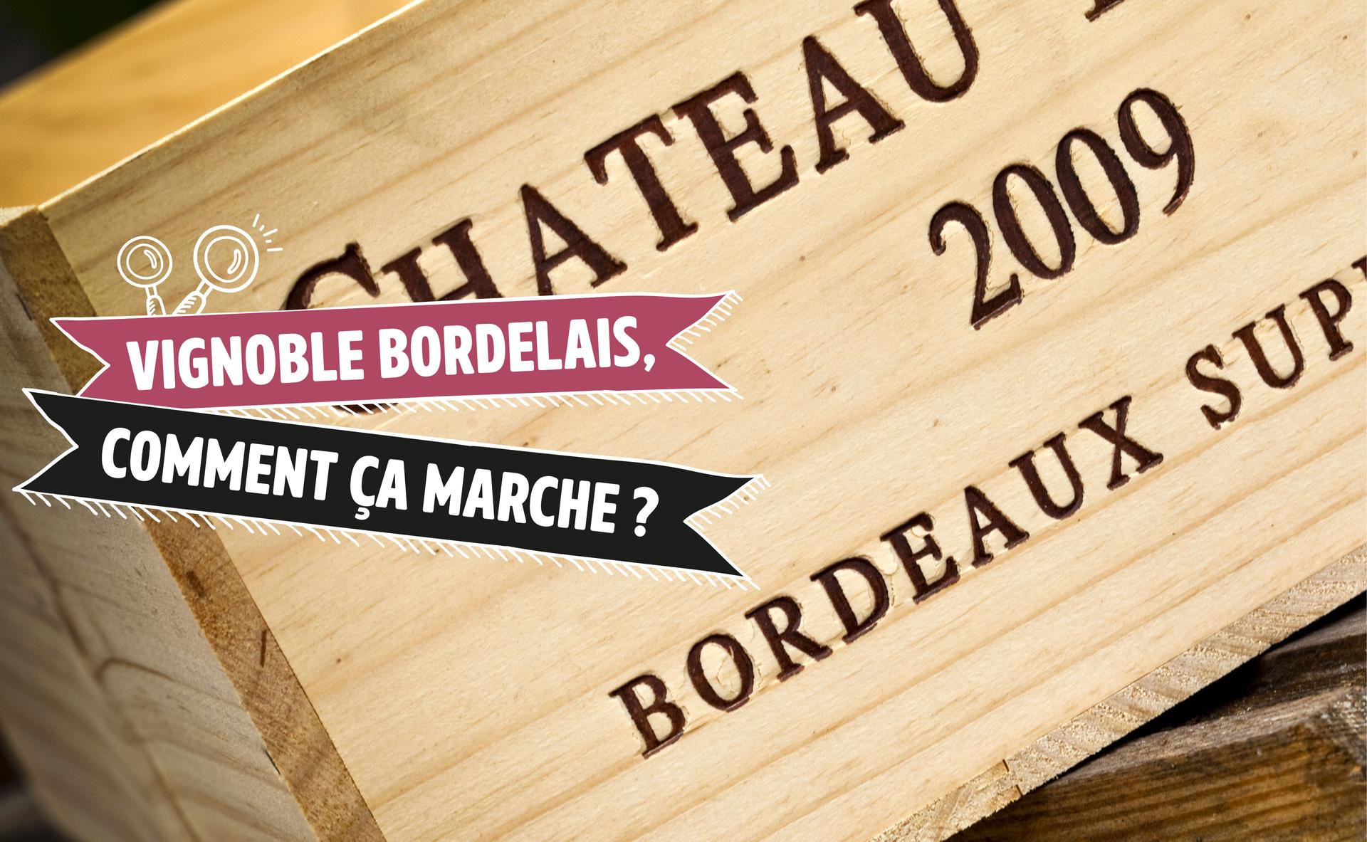 Vignoble bordelais, comment ça marche ?