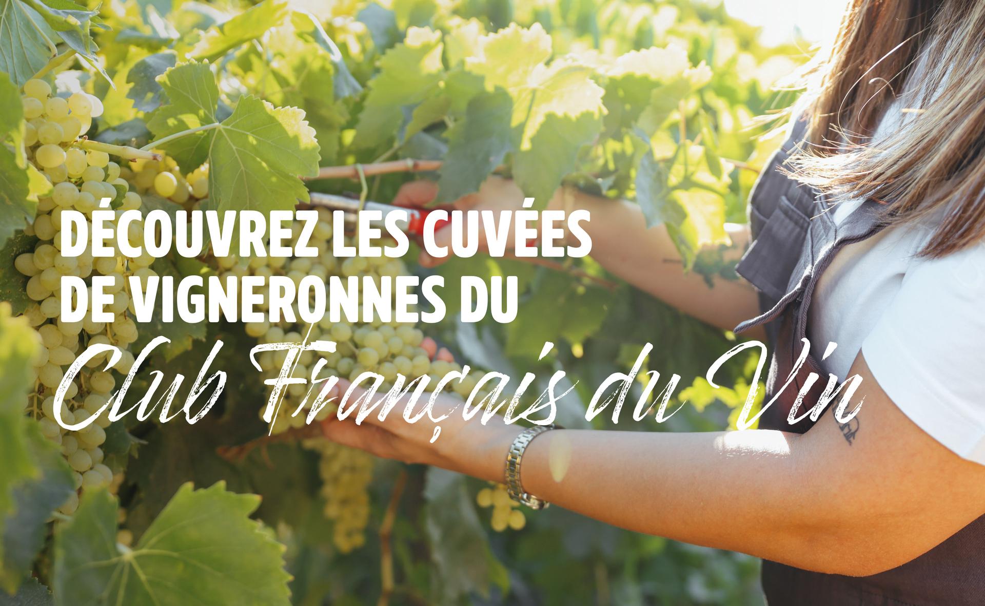 Découvrez les cuvées de vigneronnes du Club Français du Vin