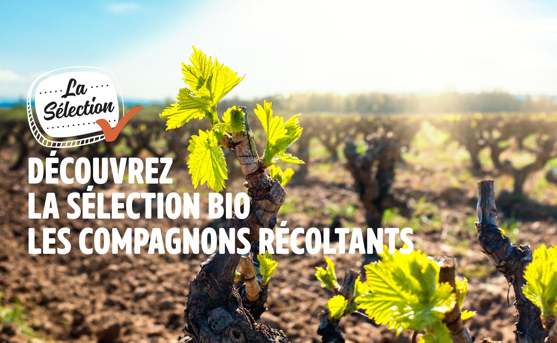 Découvrez la sélection bio Les Compagnons Récoltants