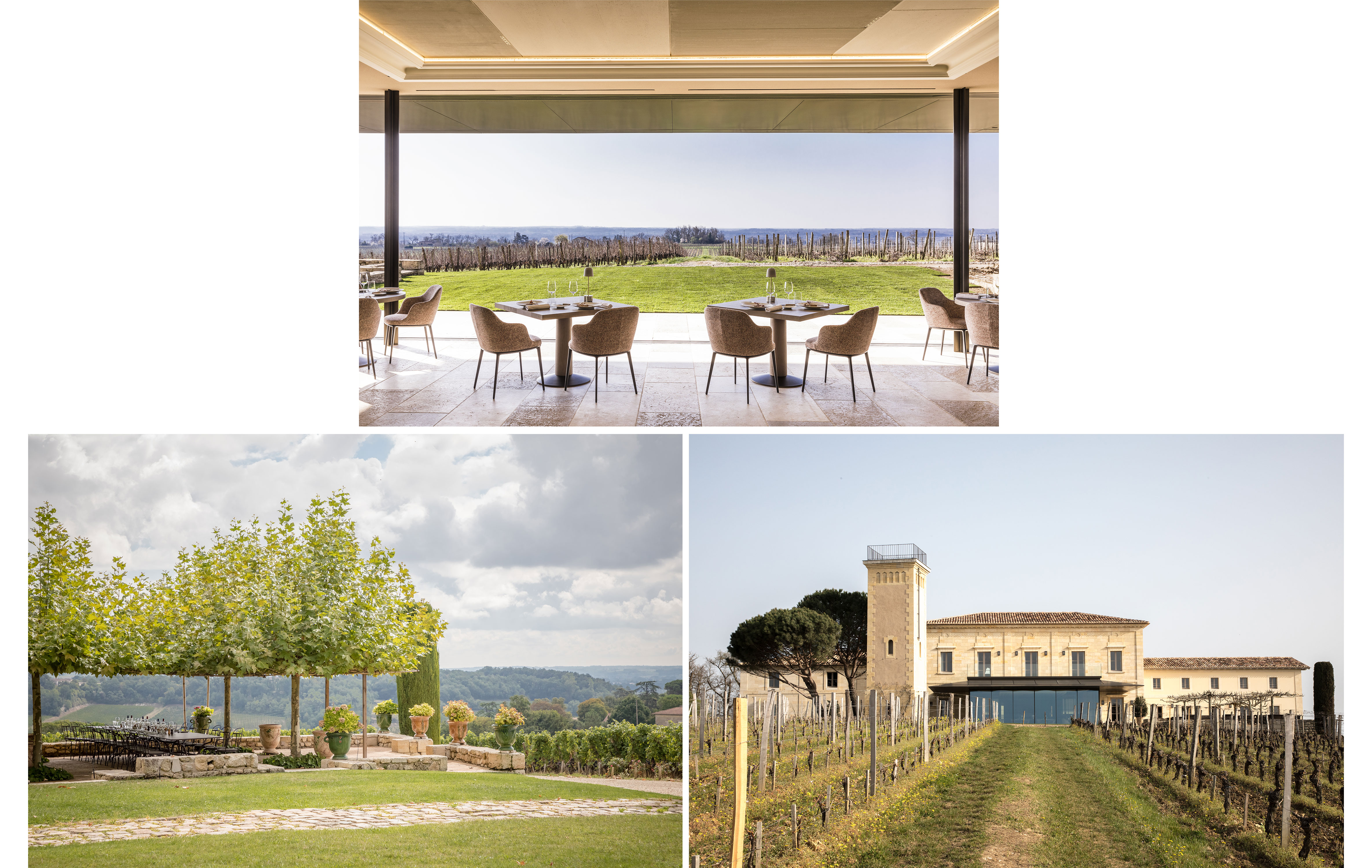 Les terrasses de Troplong Mondot, vue sur les vignes - Crédit photos : Romain Ricard, Troplong Mondot & Cécile Perrinet Lhermitte