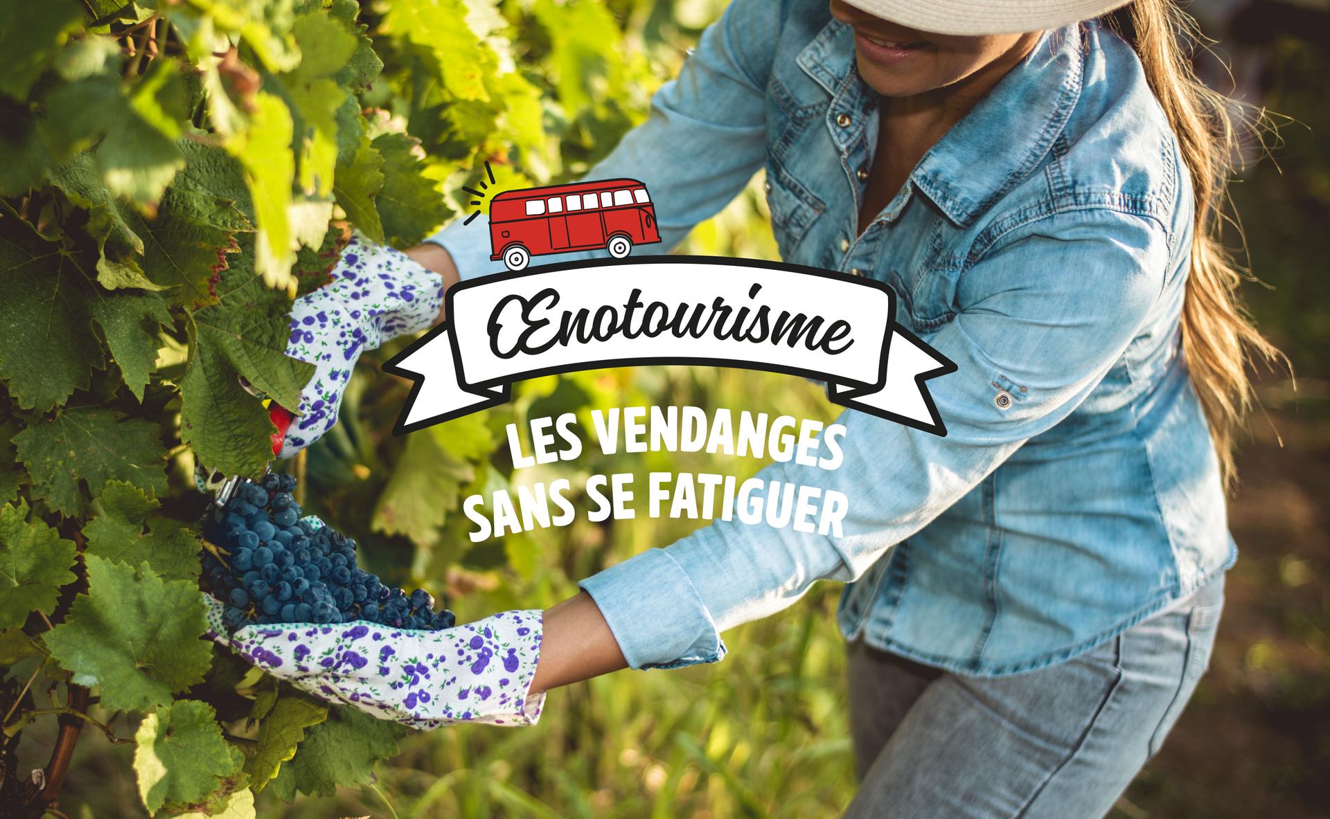 Les vendanges sans se fatiguer