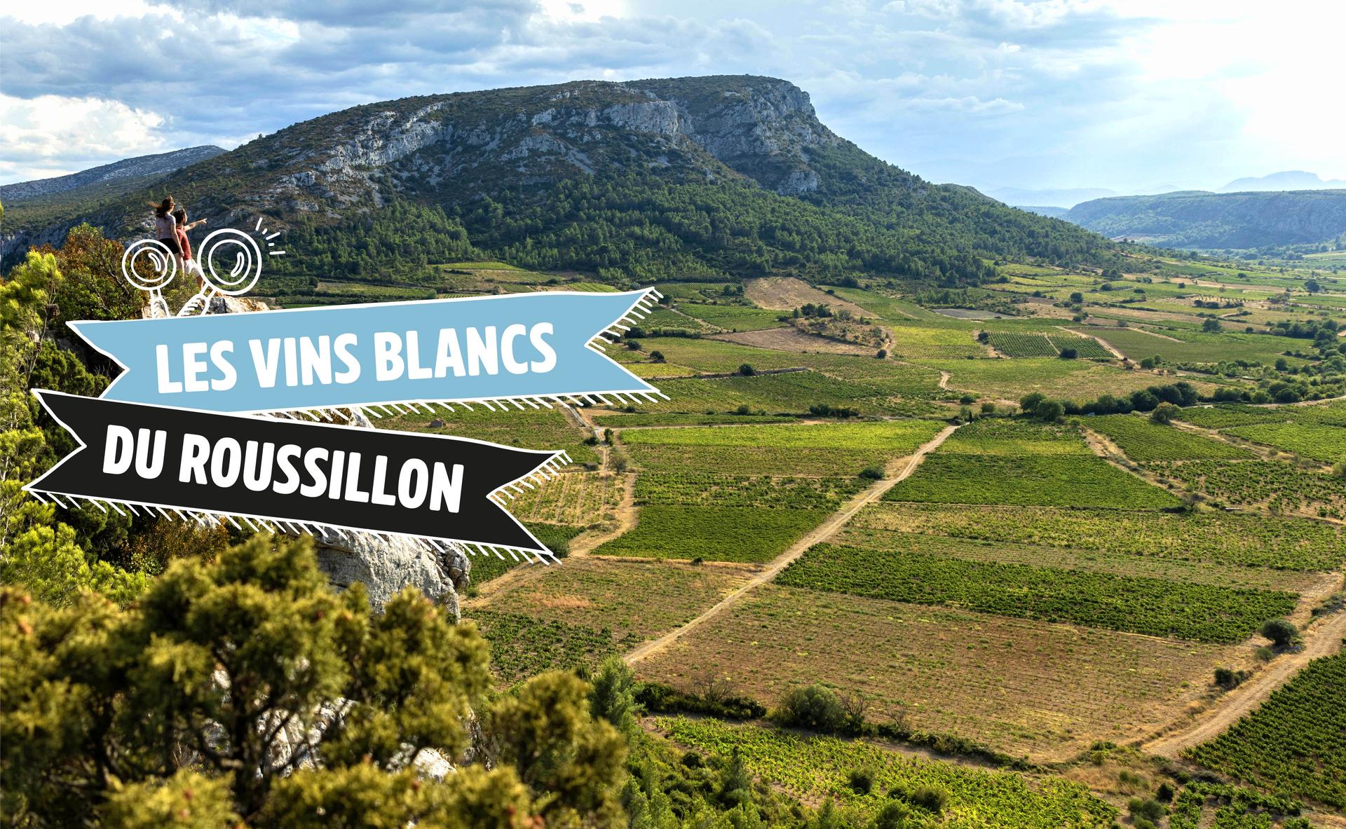Les vins blancs du Roussillon