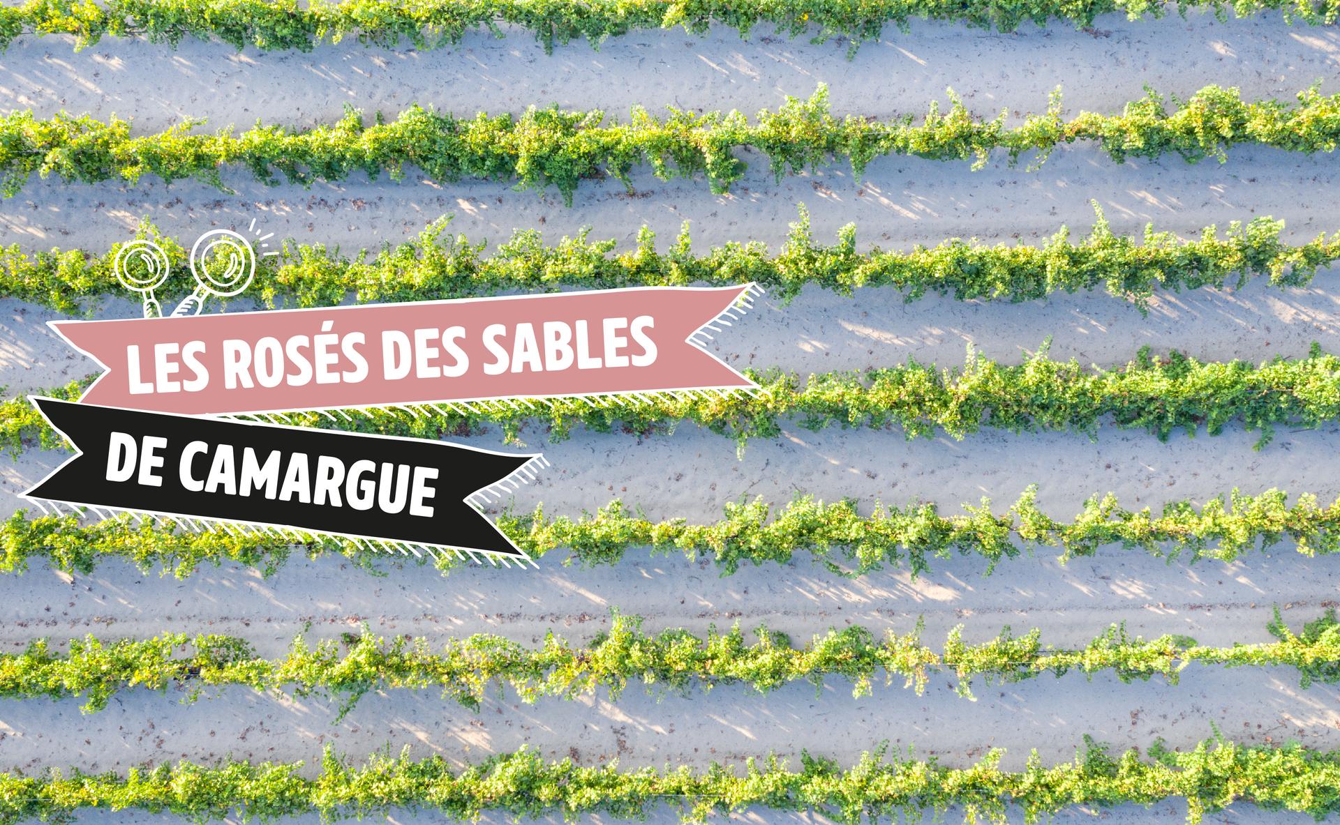Les rosés des Sables de Camargue