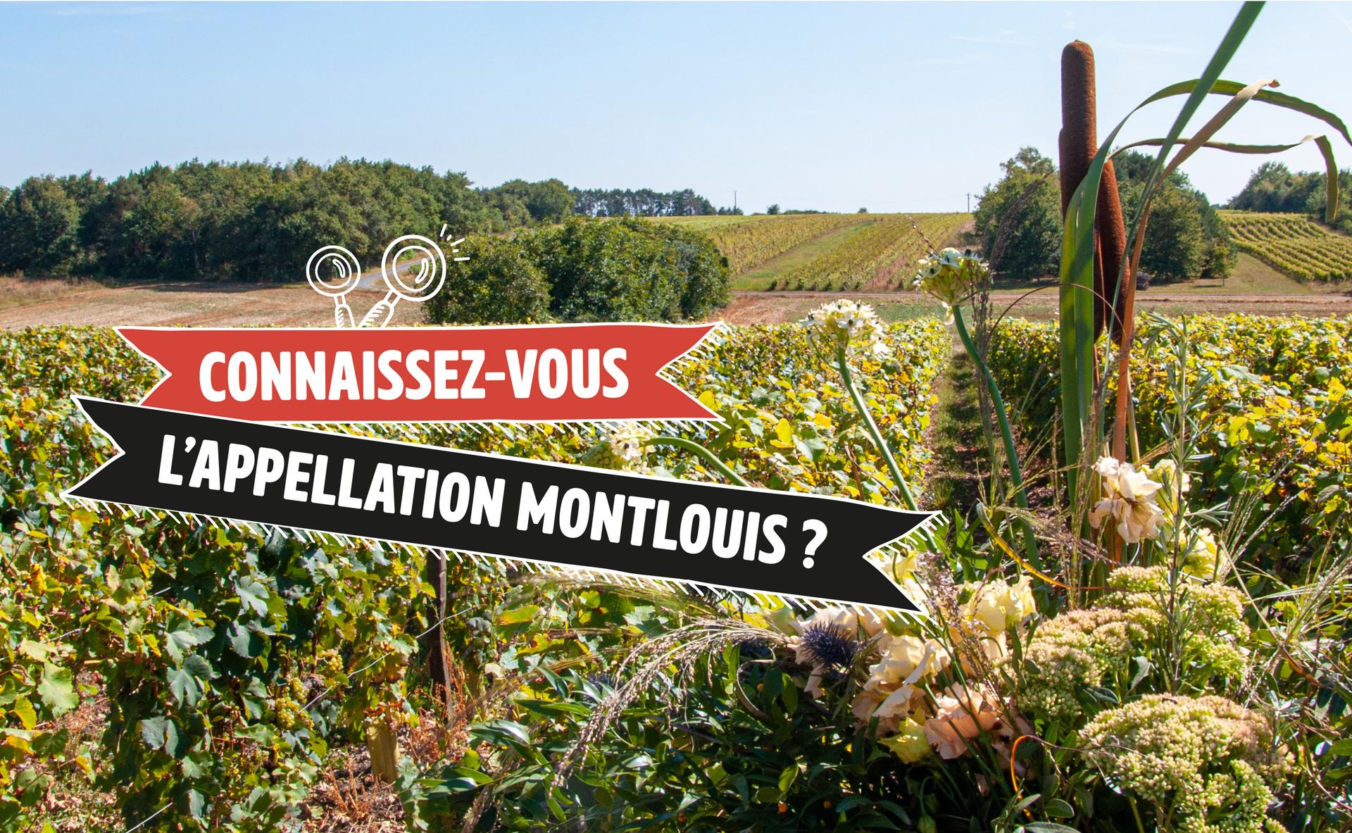 Connaissez-vous l’appellation Montlouis en Touraine ?