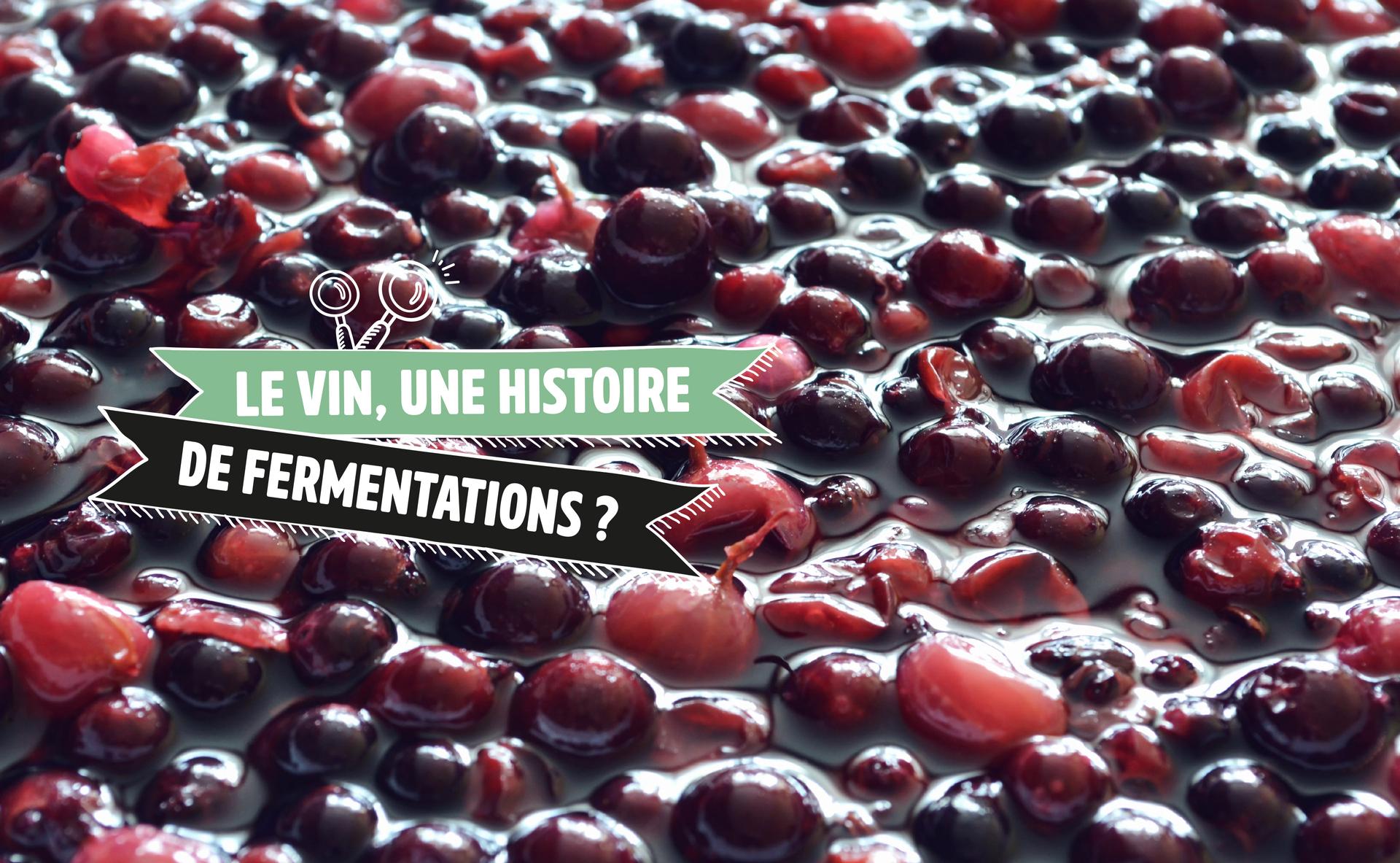 Le vin, une histoire de fermentations