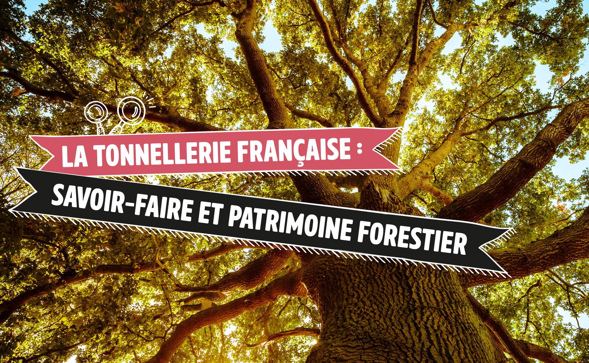 La tonnellerie française : savoir-faire et patrimoine forestier