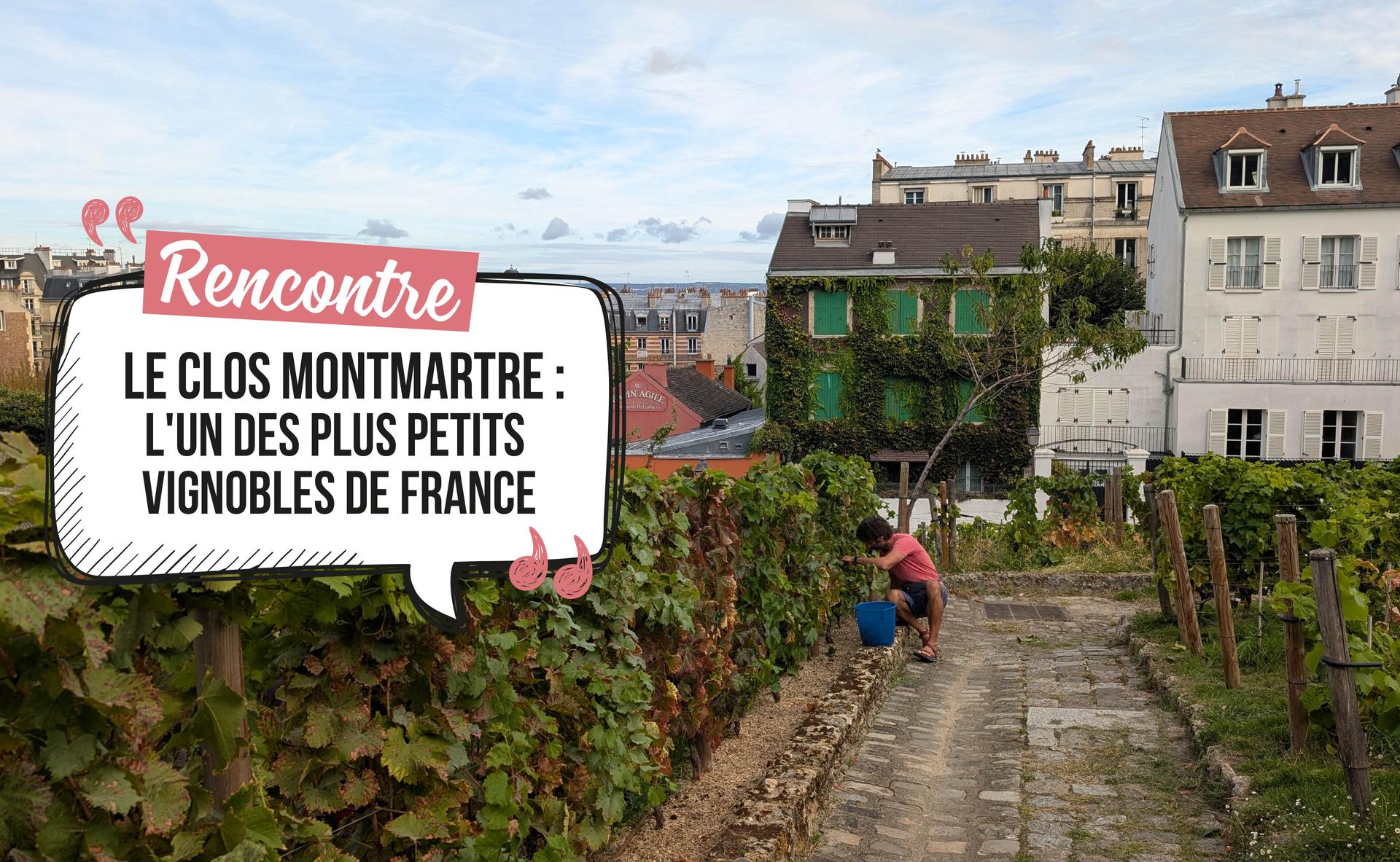 Le Clos Montmartre : l'un des plus petits vignobles de France
