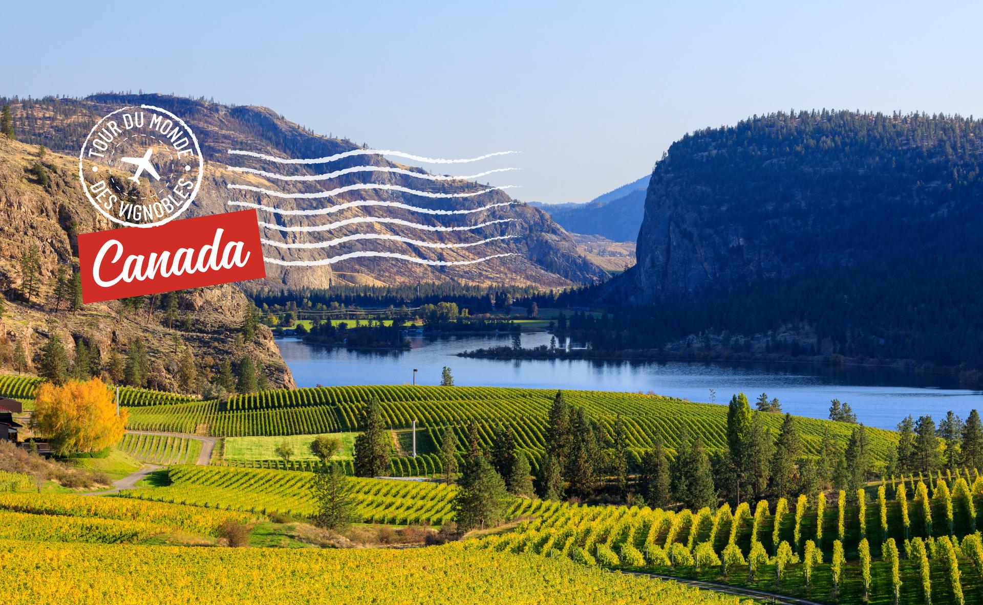 Tour du monde des vignobles : le Canada