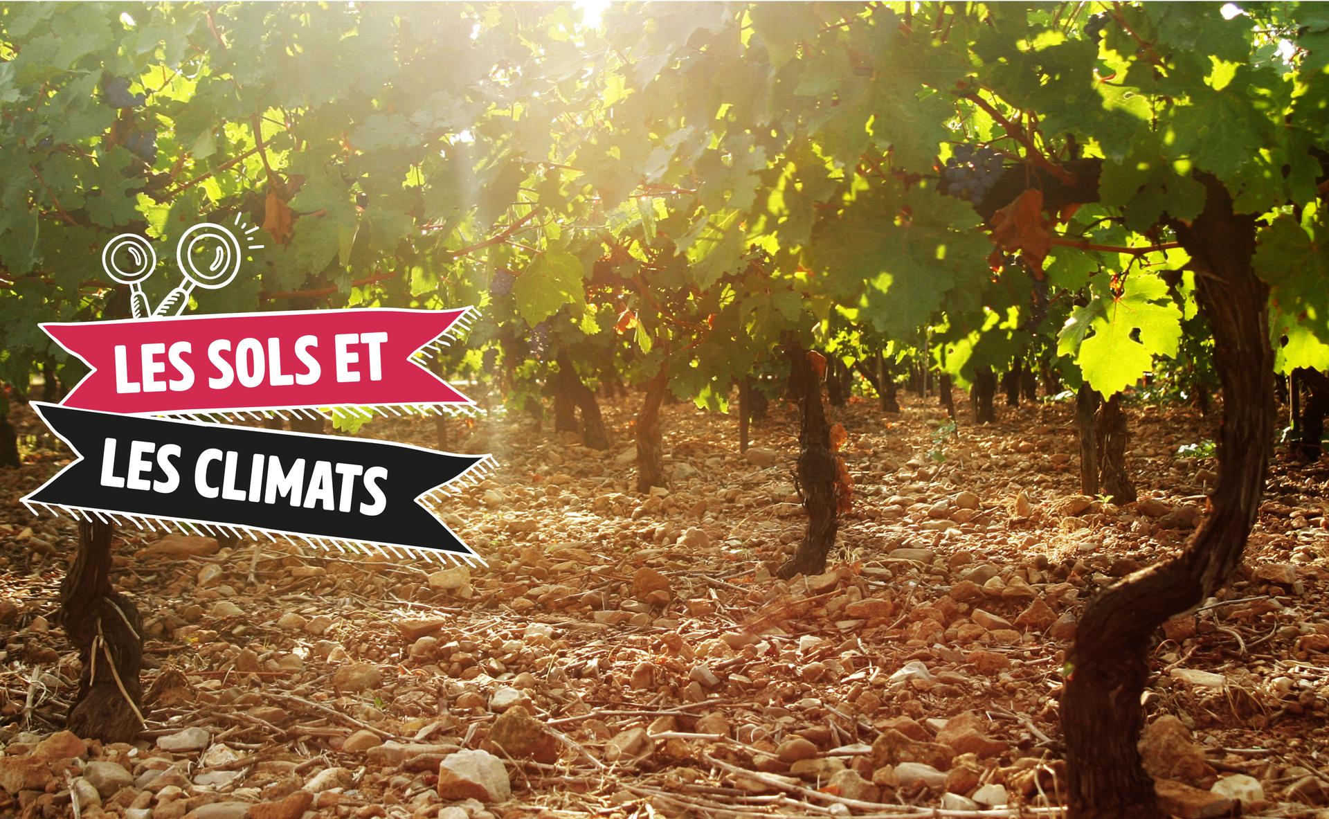 Les sols et les climats