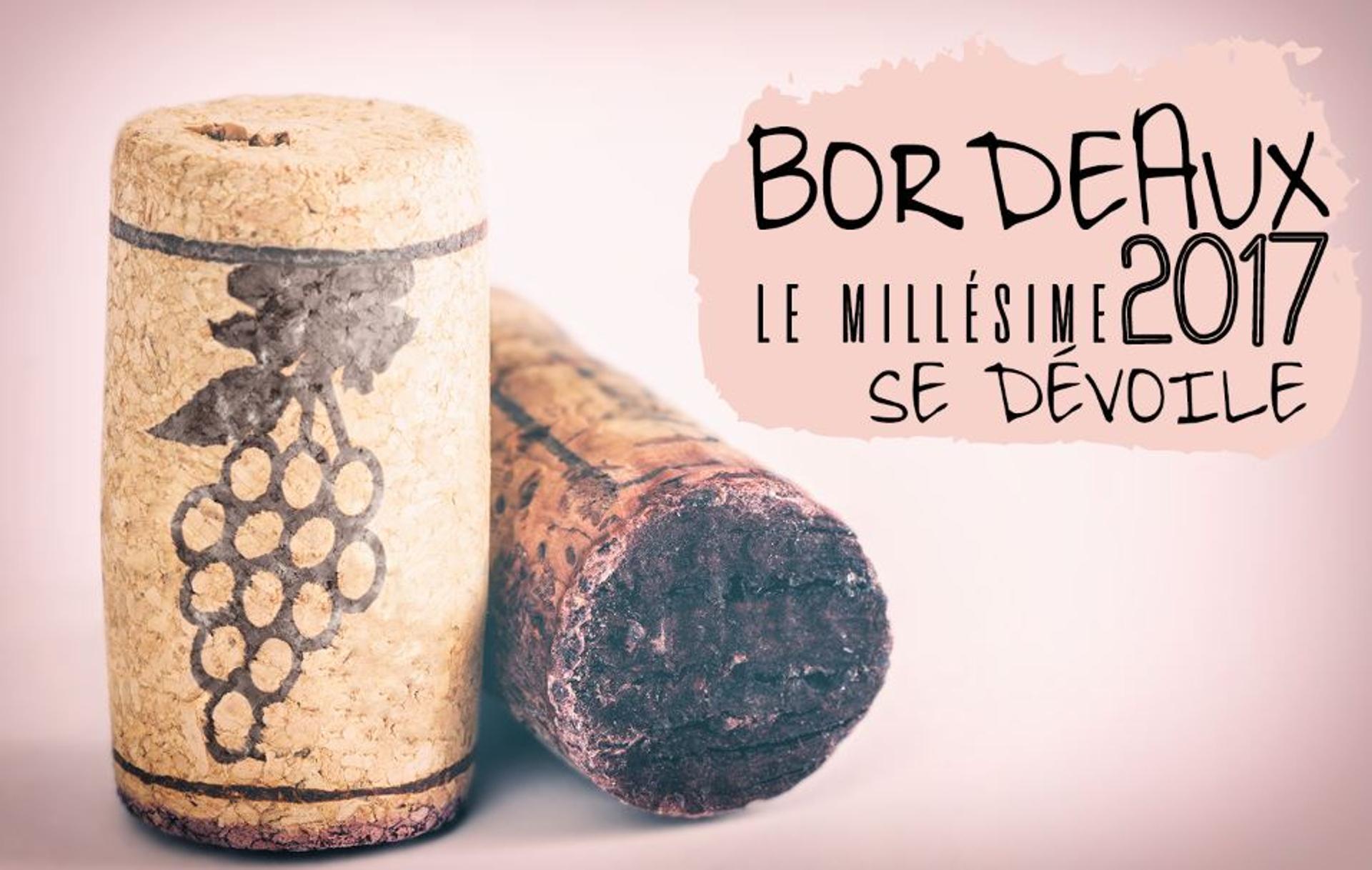 Bordeaux, le millésime 2017 se dévoile...