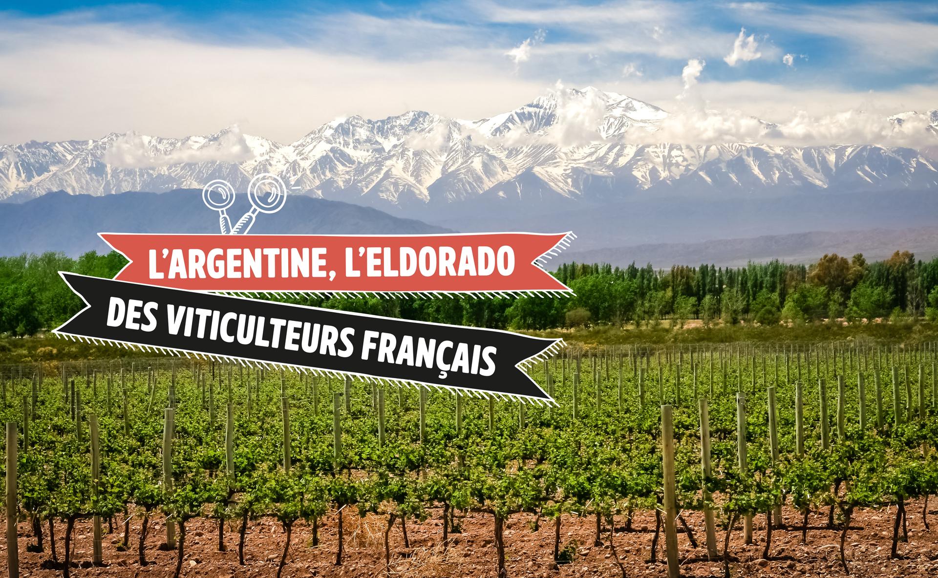 L’Argentine, eldorado des viticulteurs du Sud-Ouest