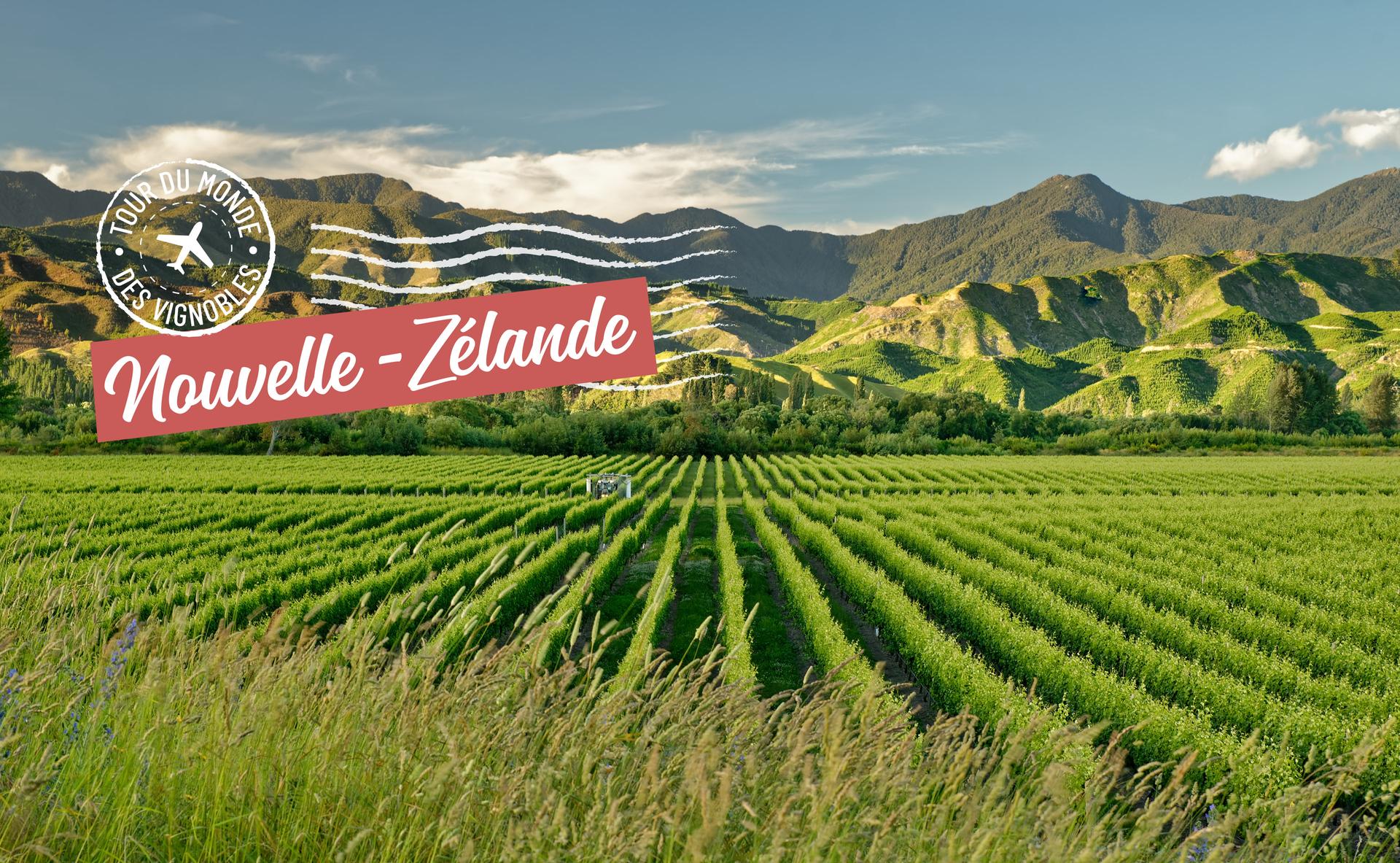 Tour du monde des vignobles : la Nouvelle-Zélande