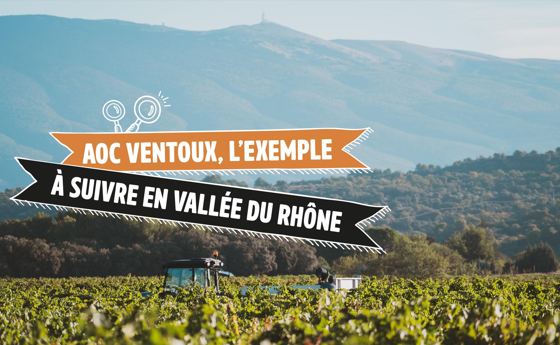 L'AOC Ventoux, la nouvelle locomotive de la Vallée du Rhône