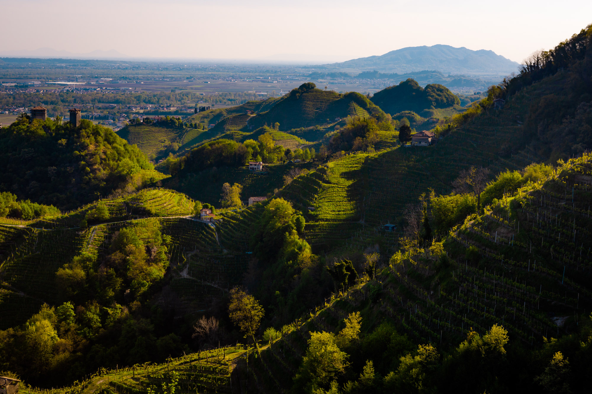 Les paysages du Valdobbiadene / Mongarda - Primavera 2019 - Crédit photo : CMattia Mionetto