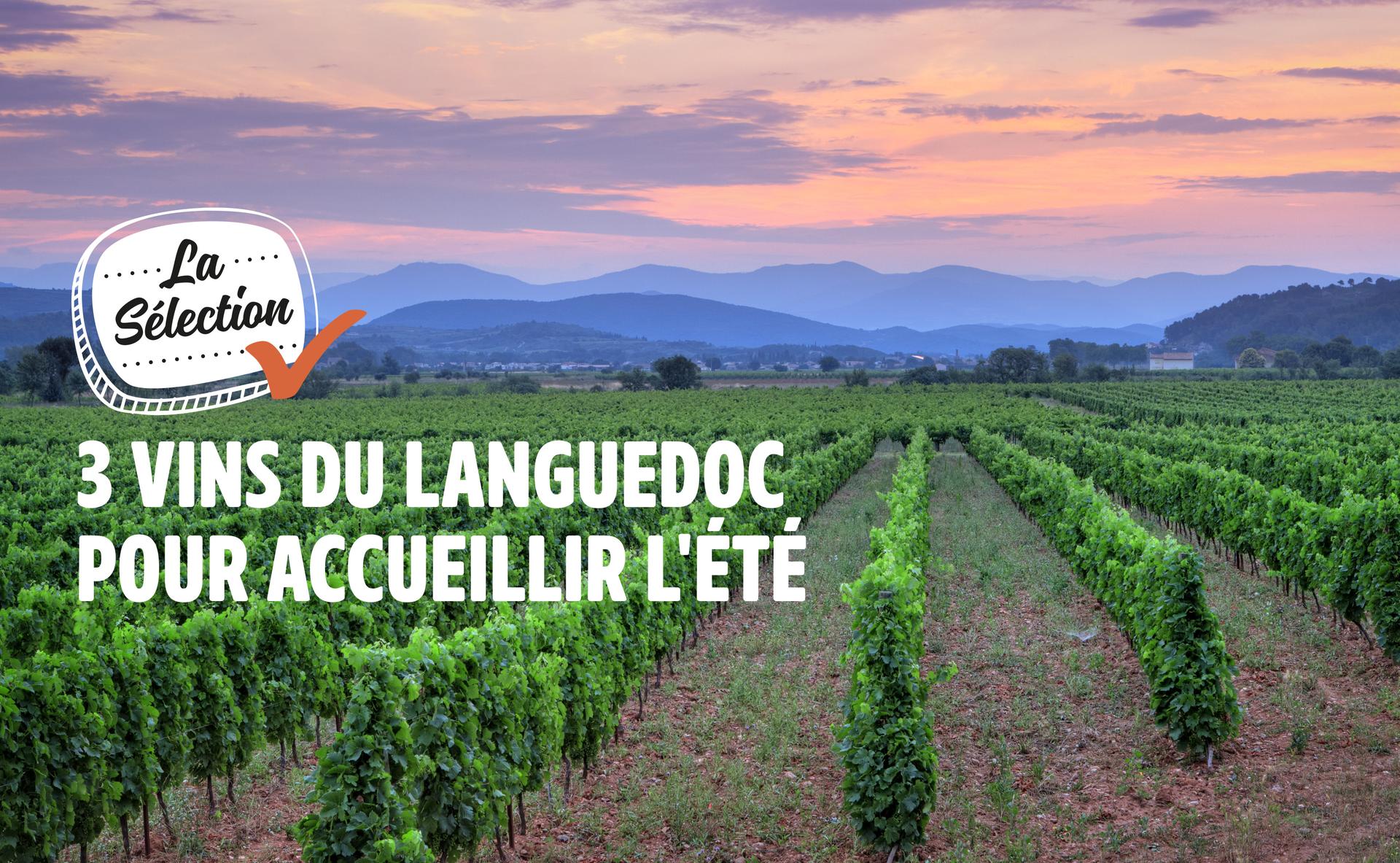 3 vins du Languedoc pour accueillir l'été