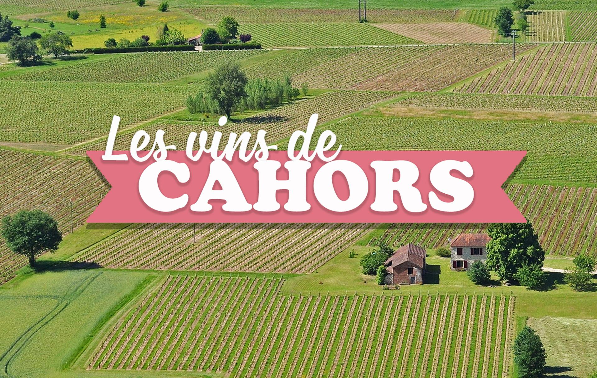 Les vins de Cahors mis à l'honneur
