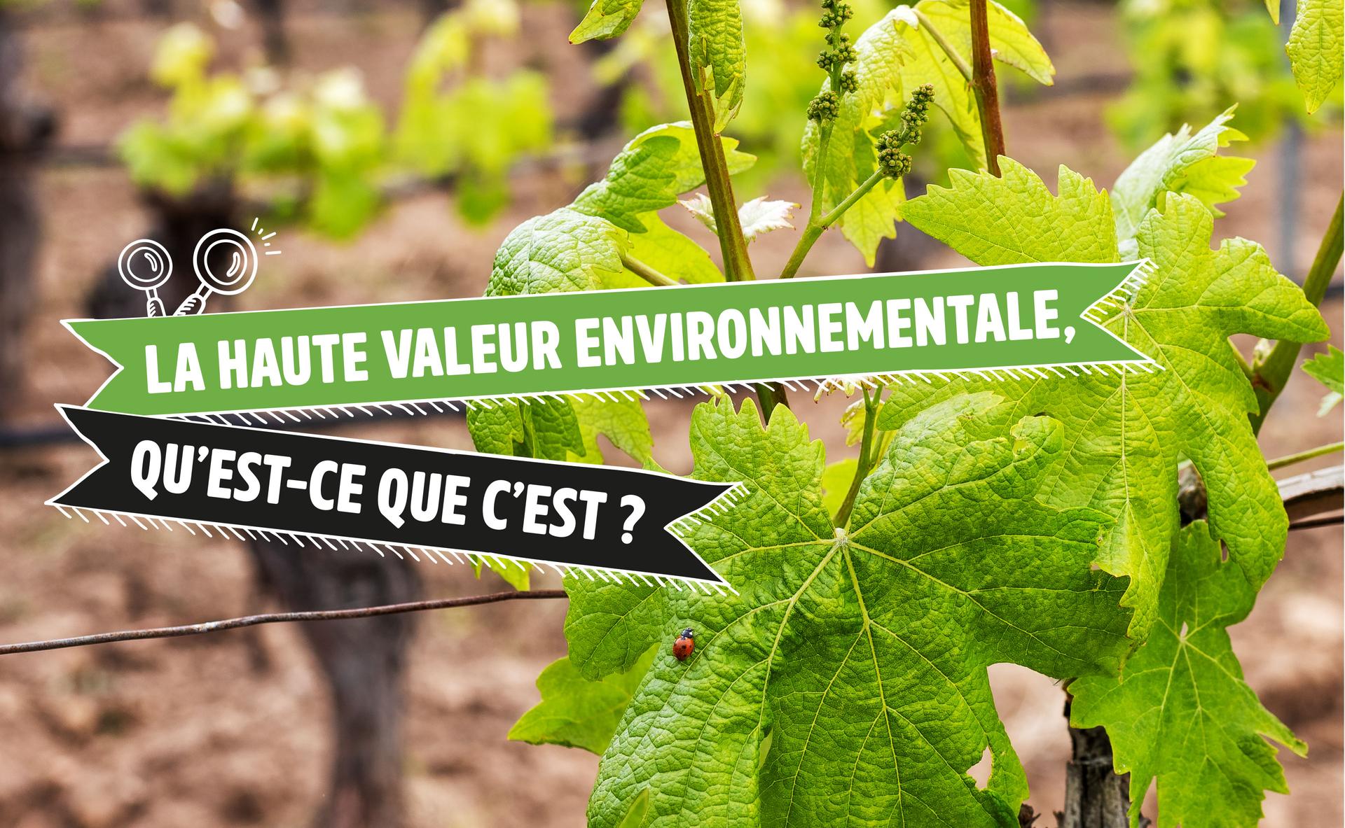 Labels environnementaux : la Haute Valeur Environnementale, qu’est-ce que c’est ?