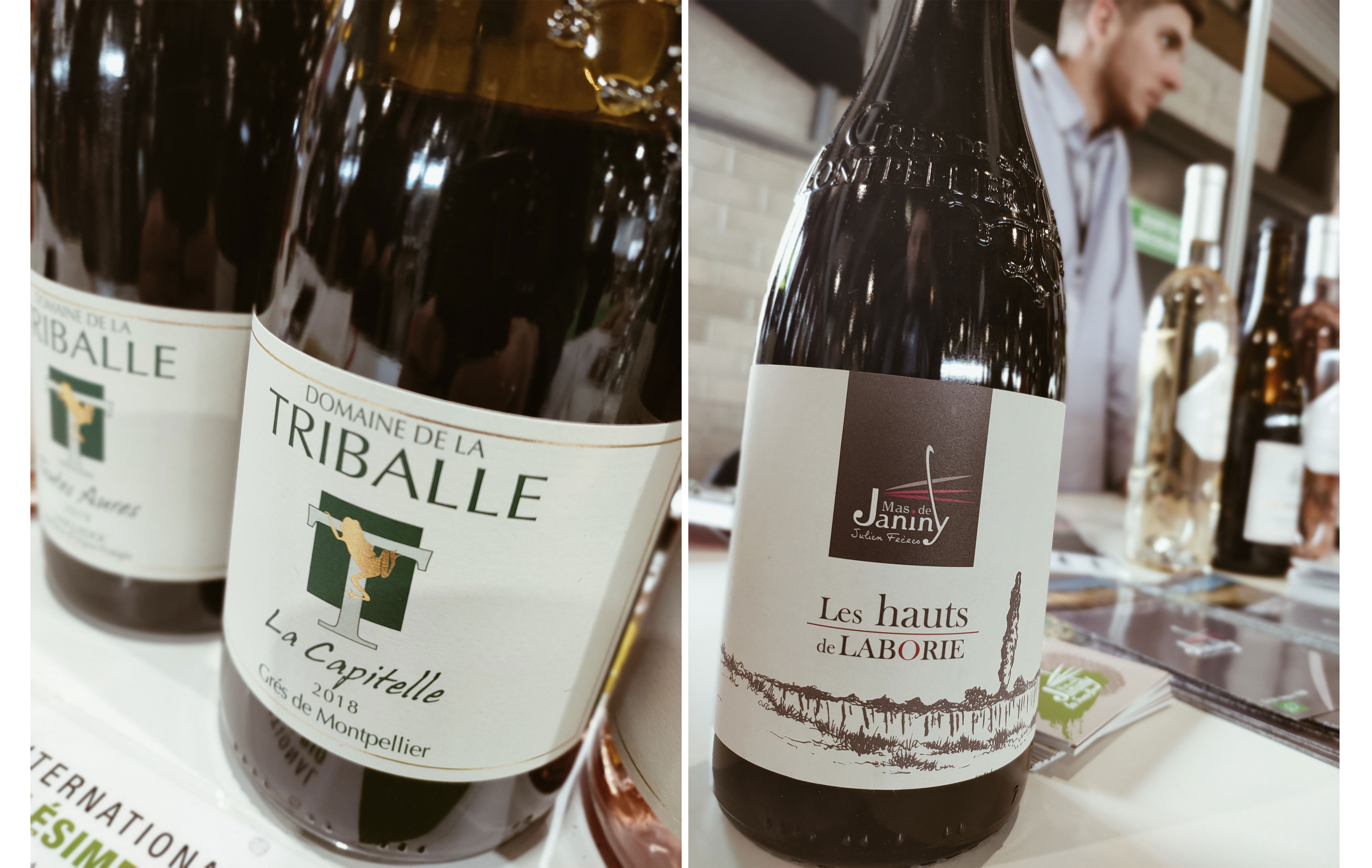 Du domaine de la Triballe à Guzargues au Mas de Janiny à Saint-Bauzille-de-la-Sylve, les vins ont une signature commune : salinité et élégance des tanins Crédit : Yoann Palej