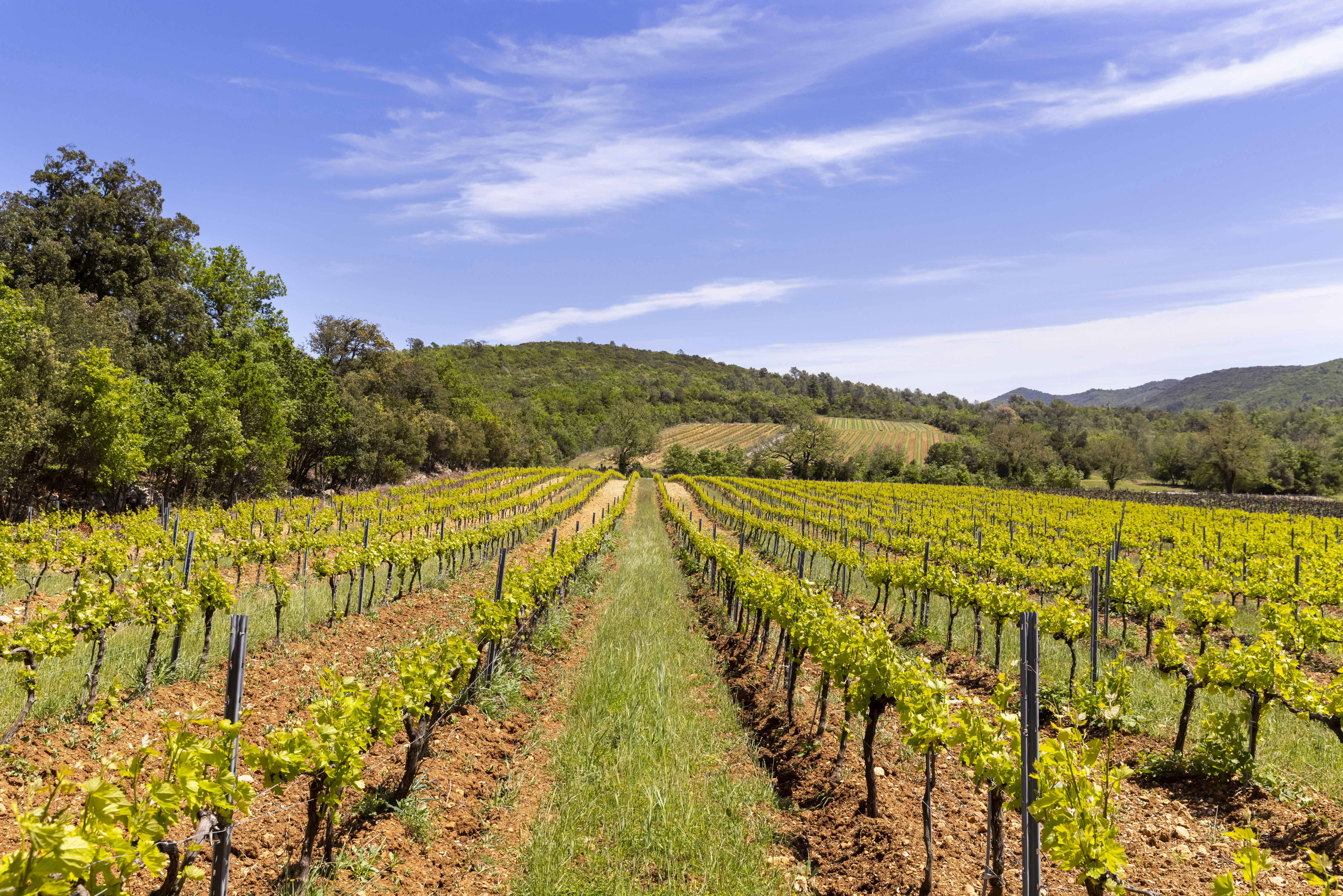 Cala est situé à Brignoles, au cœur de la Provence Verte ! - Crédit : Hervé Fabre