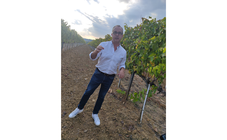 Sergio Bucci le directeur dans les vignes