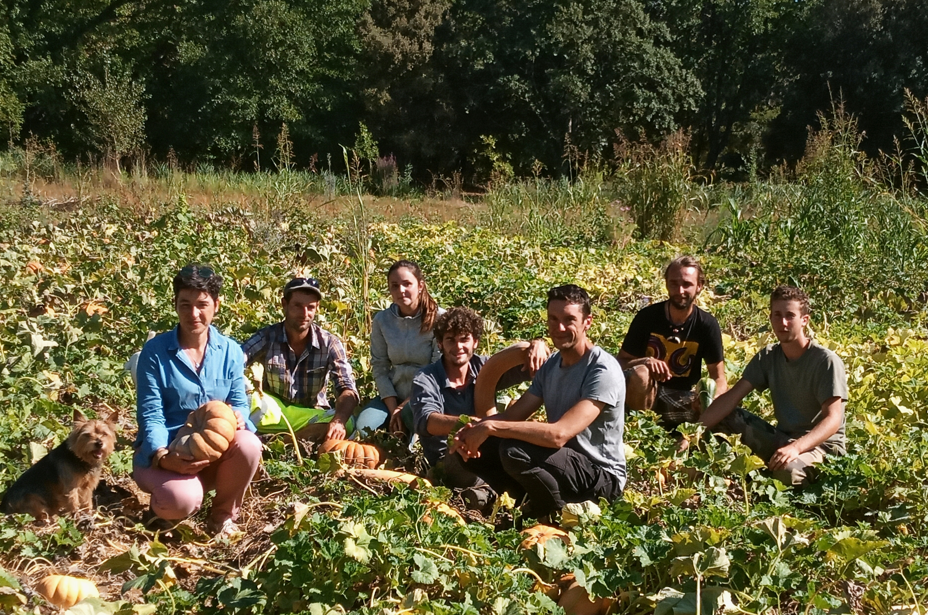 Laurence et ses co-équipiers à la Ferme Saint-Georges qui développe des projets autour de la permaculture et l’agroécologie - Crédit : Potagers & Compagnie
