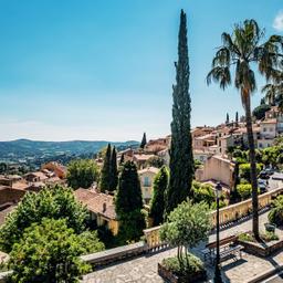 Bormes-les-Mimosas