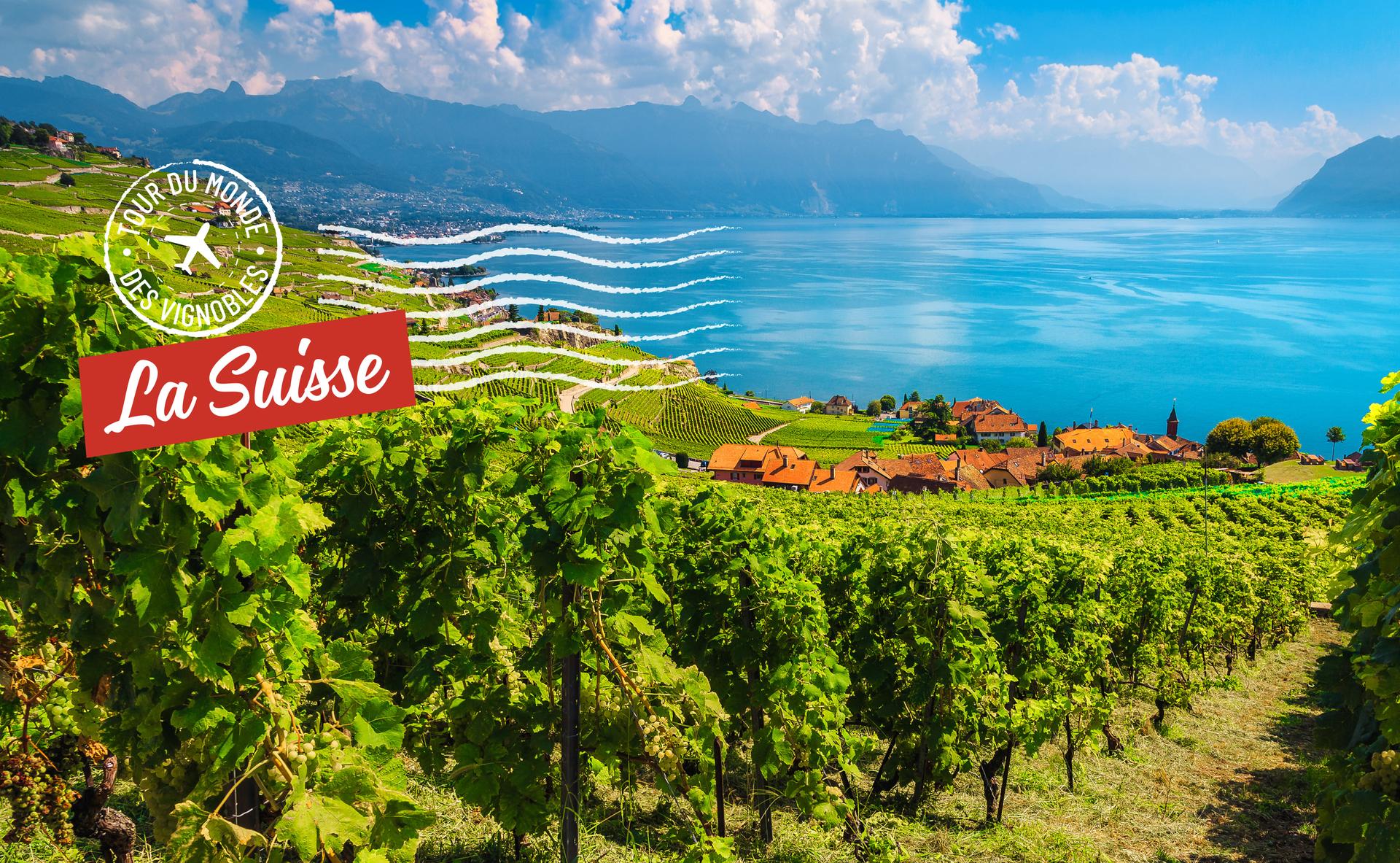 Tour du monde des vignobles : la Suisse