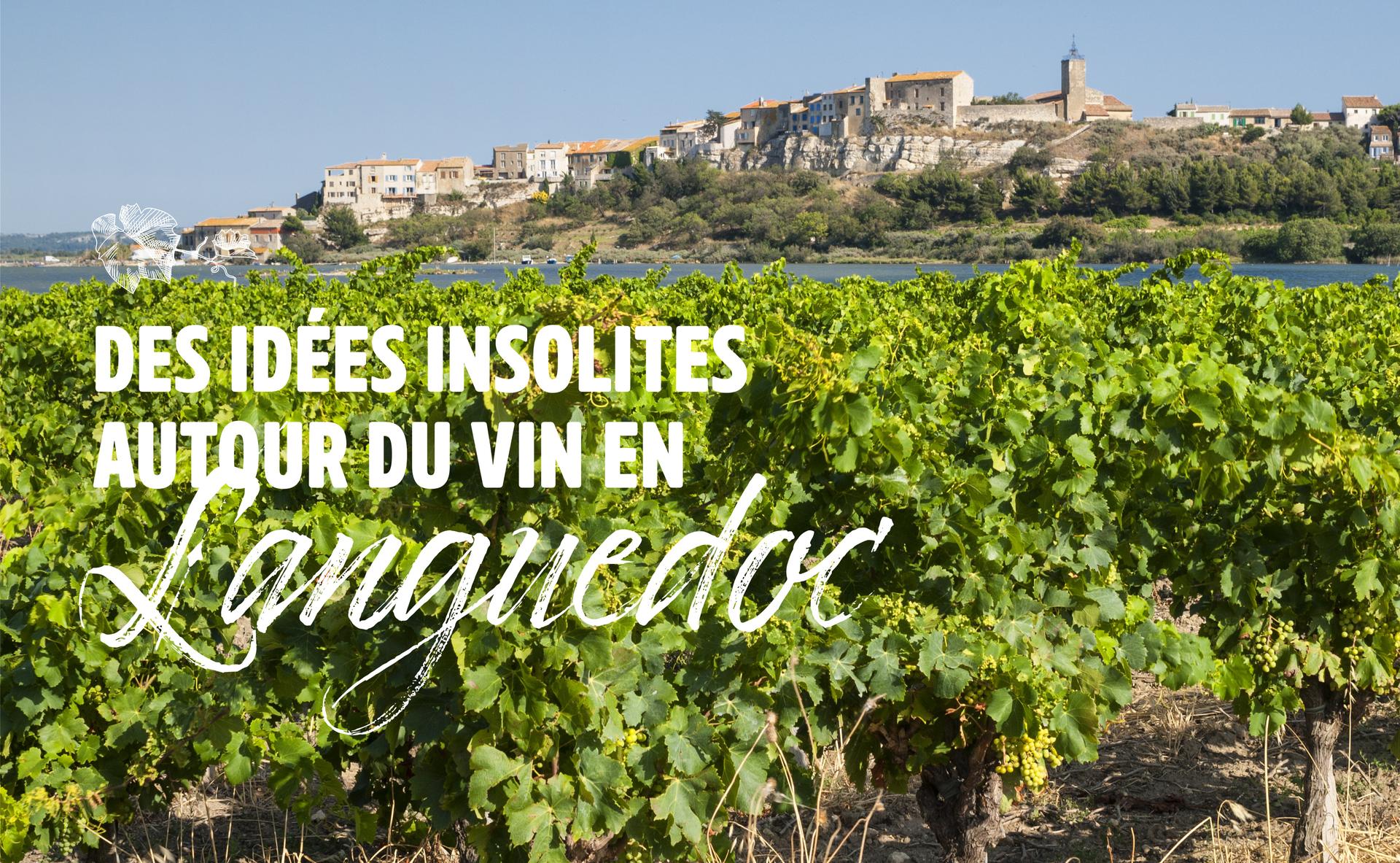 Des idées insolites autour du vin en Languedoc