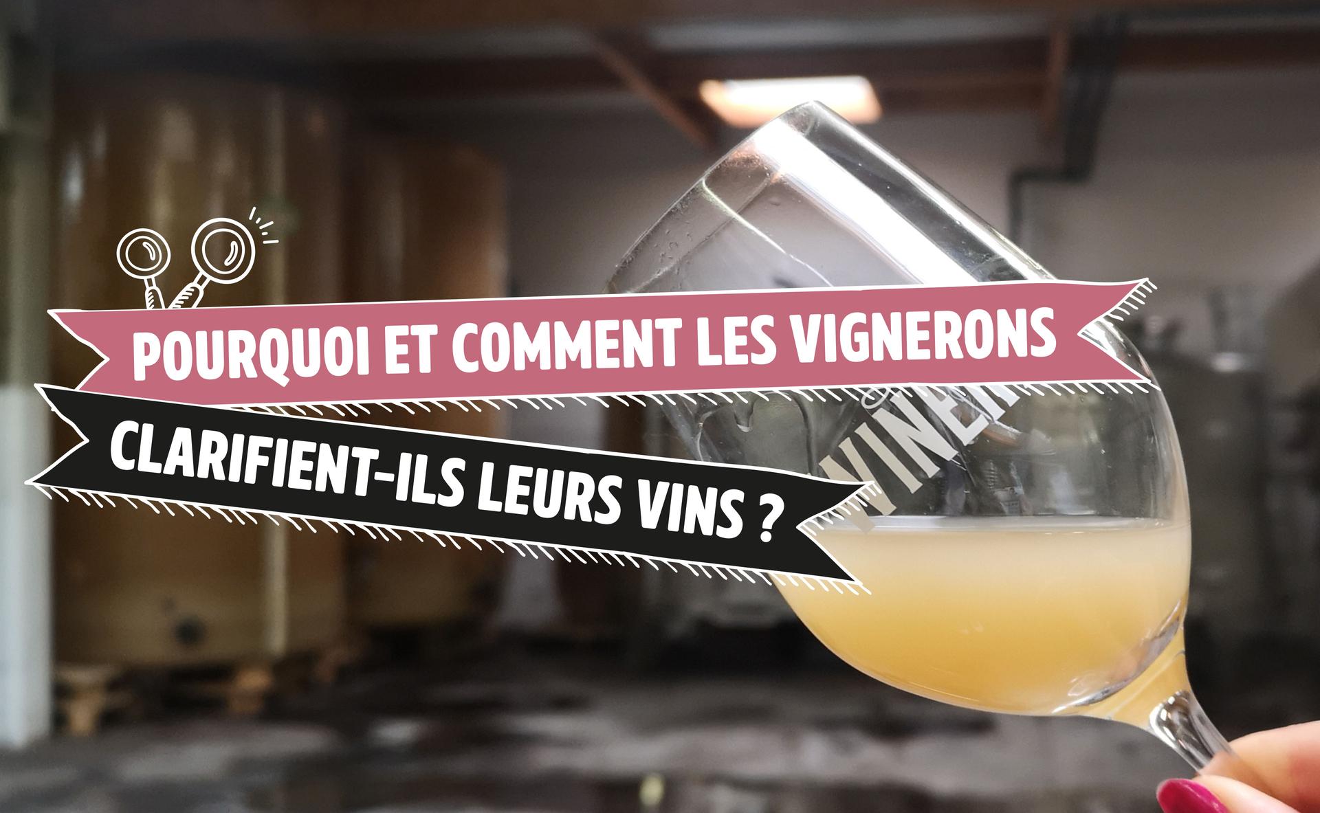 Collage et vinification : pourquoi et comment les vignerons clarifient-ils leurs vins ? 