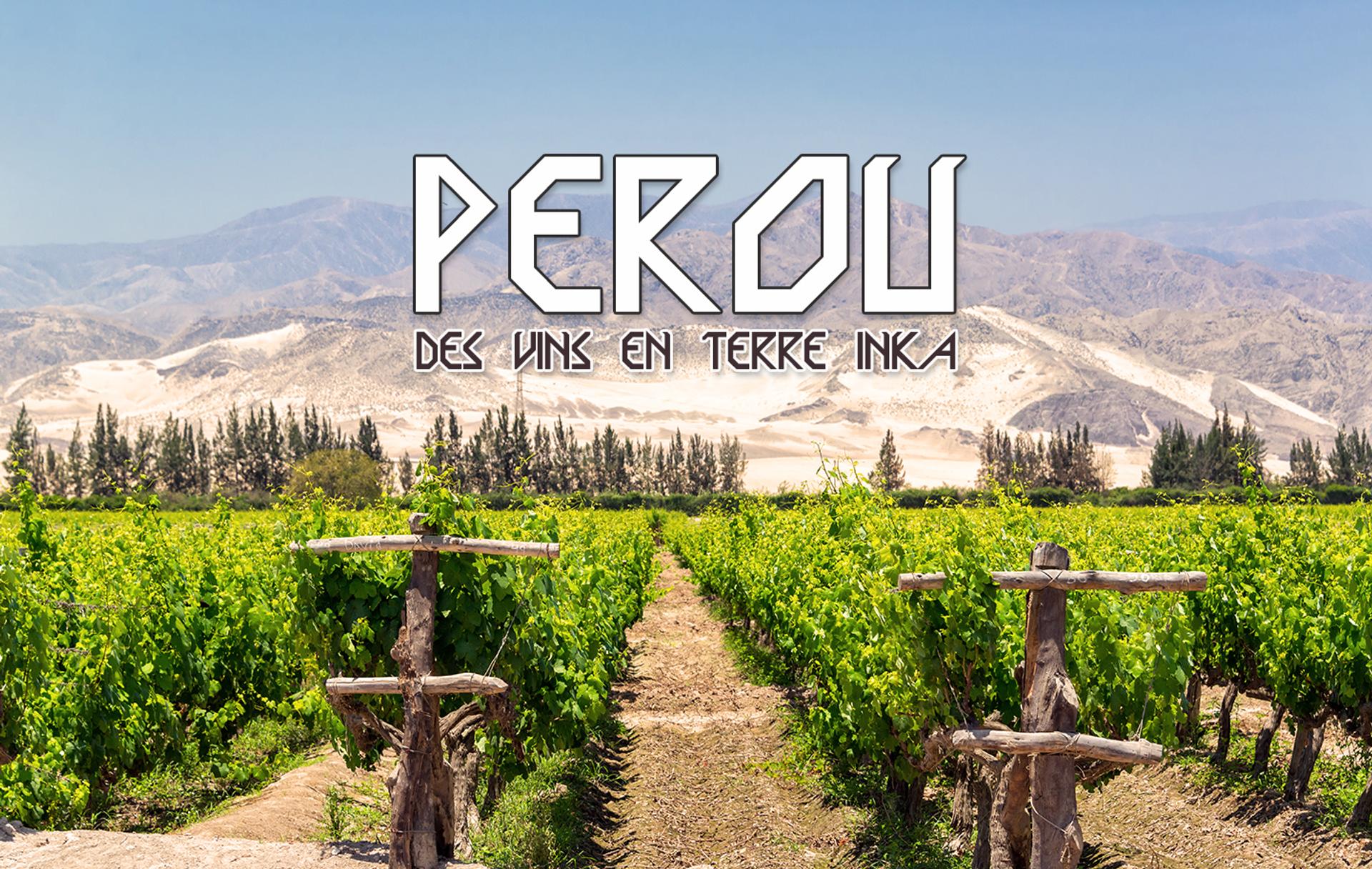 Le Pérou, des vins en terre Inca