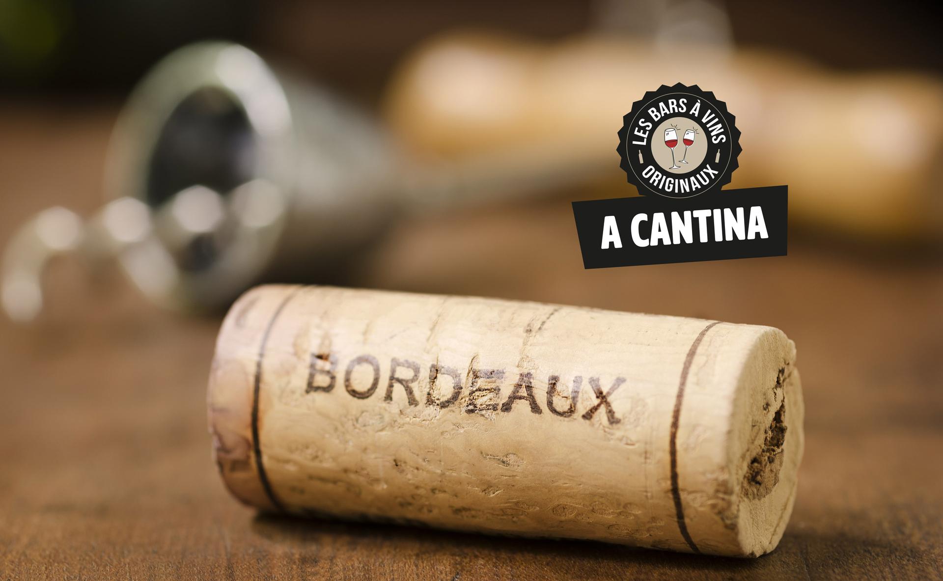 Vins et saveurs corses à Bordeaux : découvrez A cantina comptoir corse