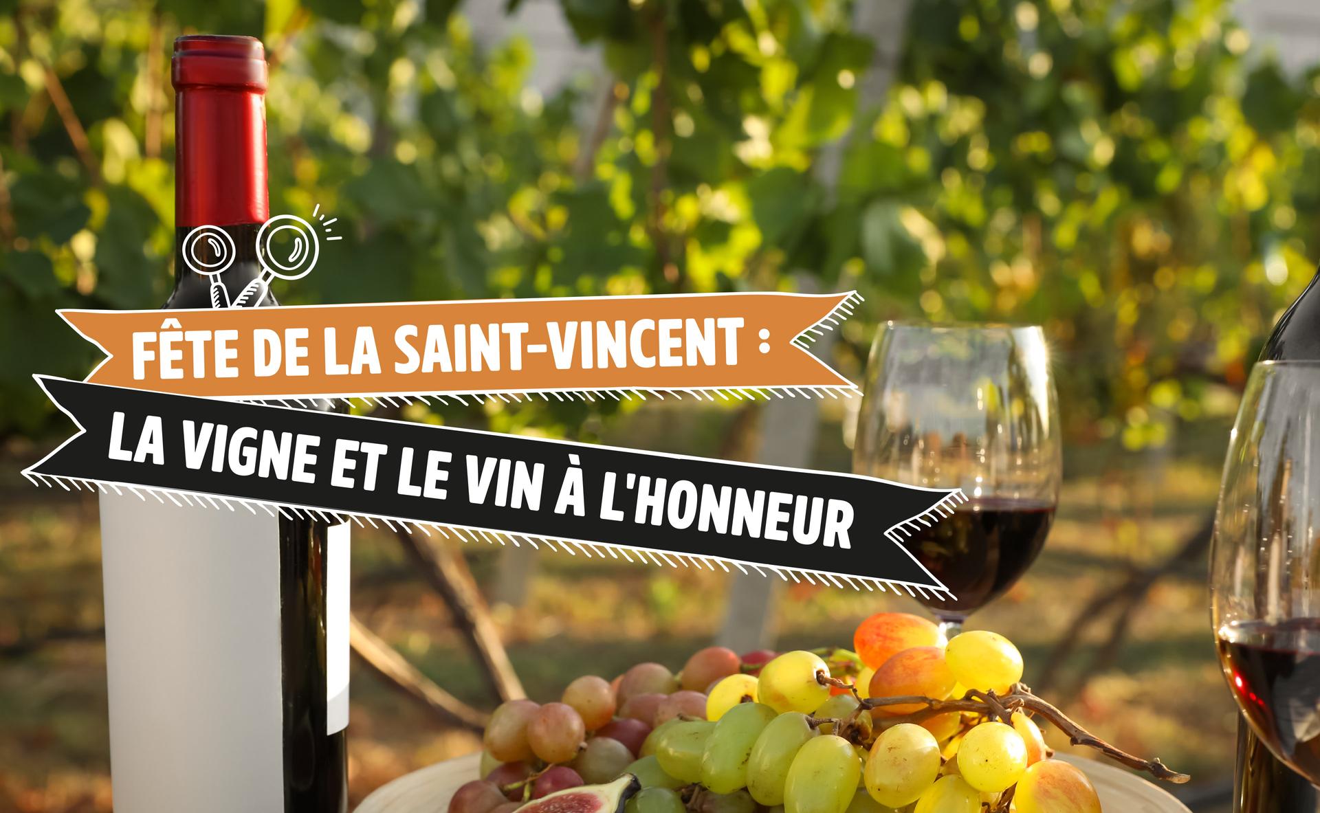 Fête de la Saint-Vincent : la vigne et le vin à l'honneur